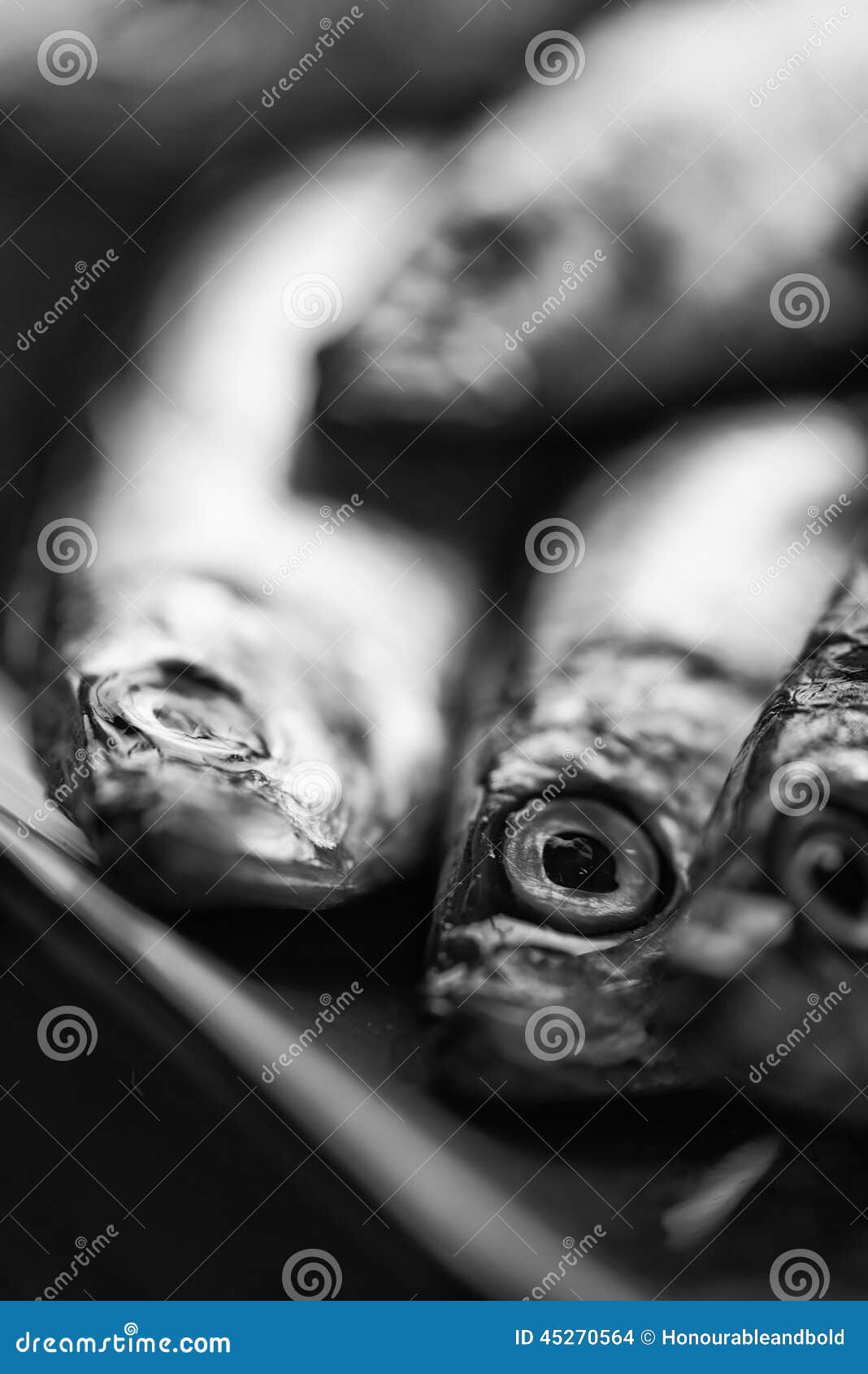 Frische geschmackvolle rohe Sprotten auf dem Servierteller Schwarzweiss. Frische Sprottenfische auf dem Servierteller Schwarzweiss