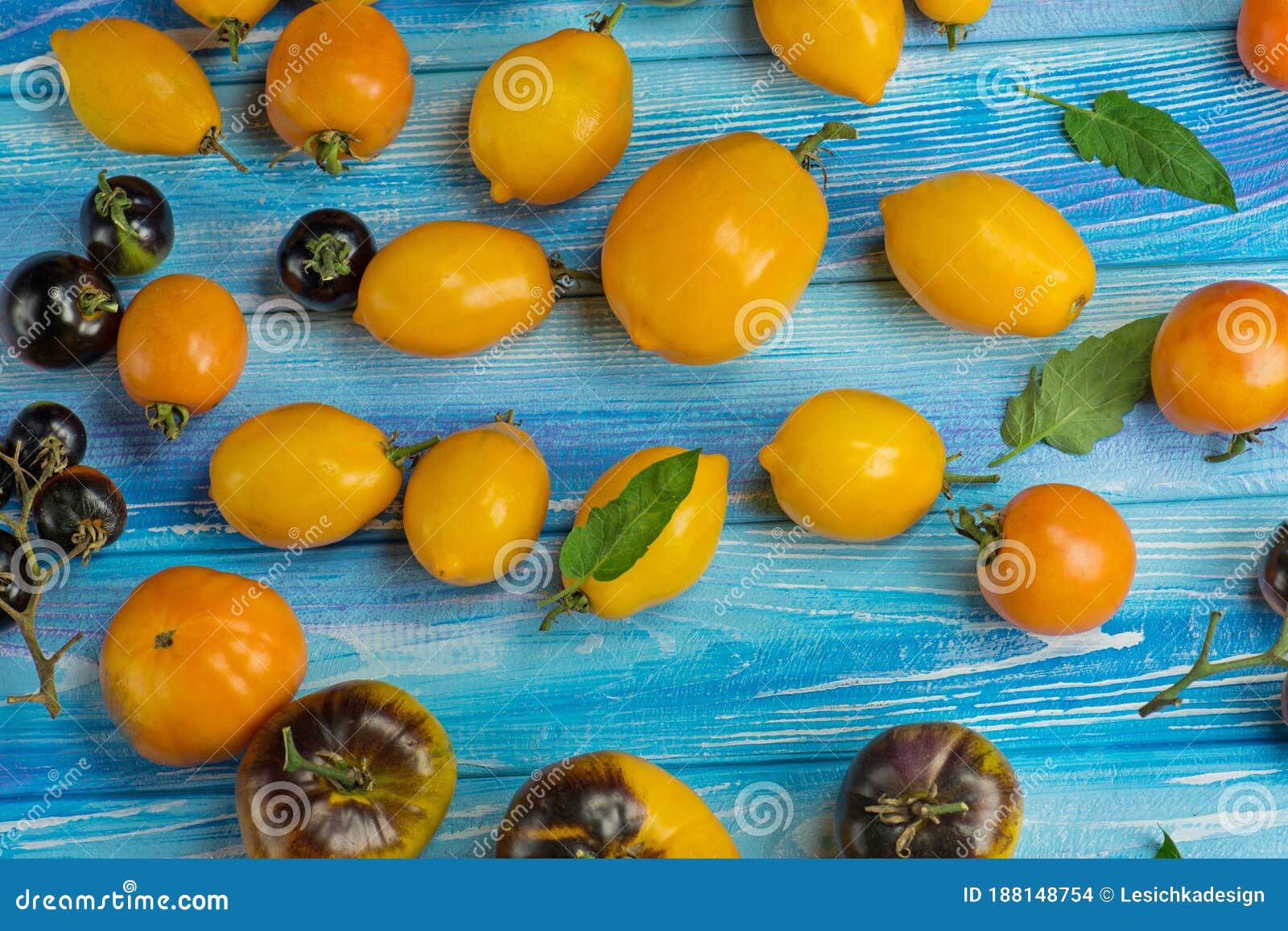 Frische Sammelsurium Tomaten/Paradeiser Der Sorte. Biologische
