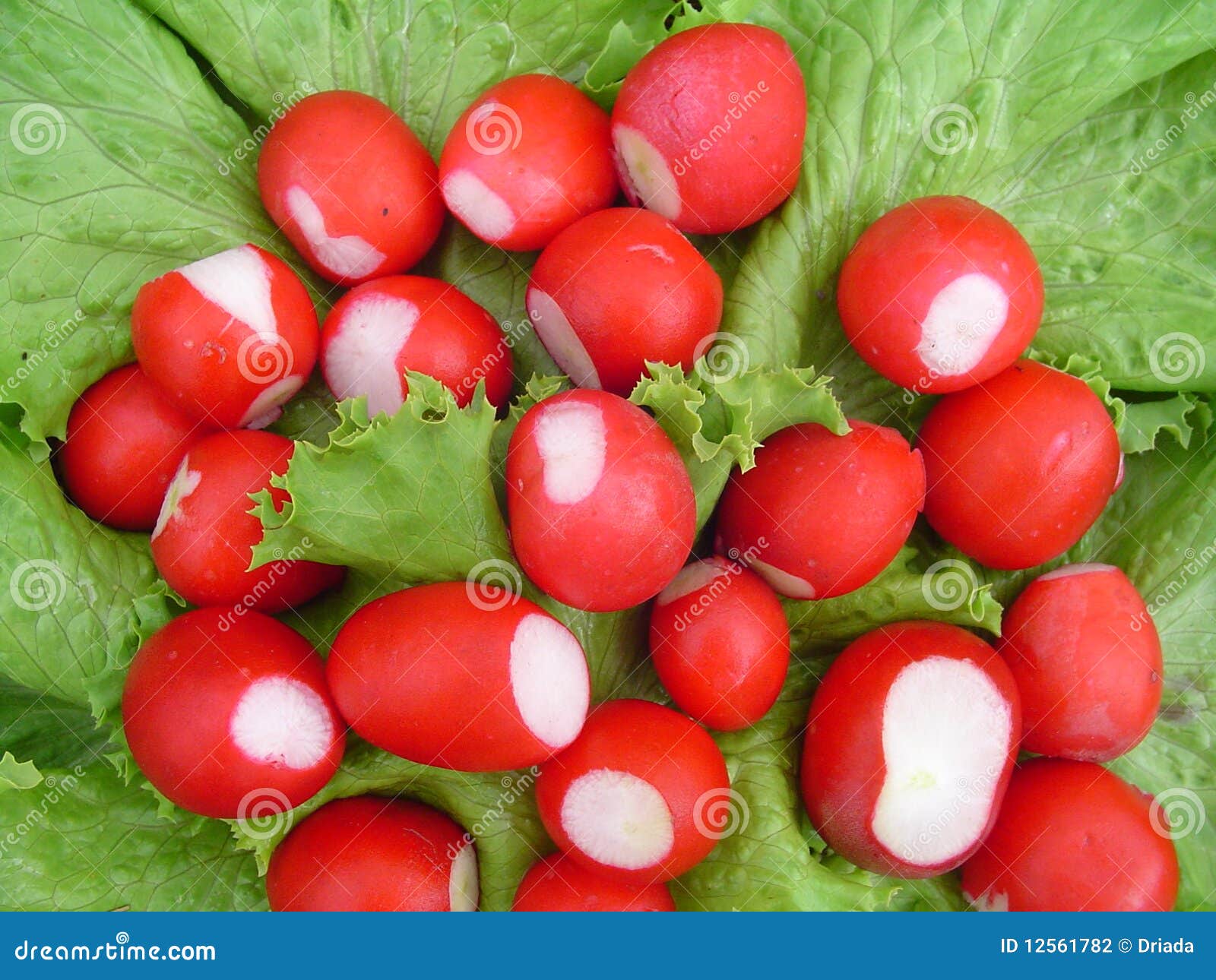 Frischer Blattsalat Mit Einem Gartenrettich Stockfoto - Bild von grün ... Frischer Blattsalat Mit Einem Gartenrettich Stockfoto - Bild von grün ...
