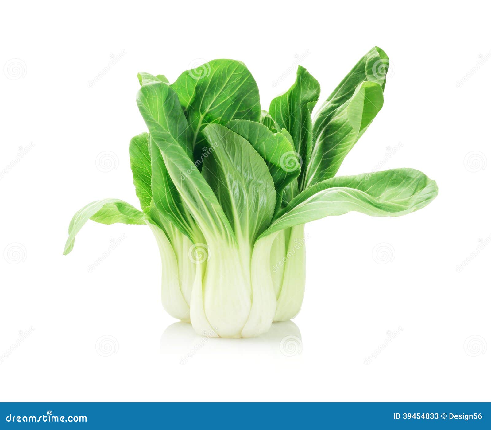 Frischer Chinakohl stockbild. Bild von gesund, hintergrund 39454833