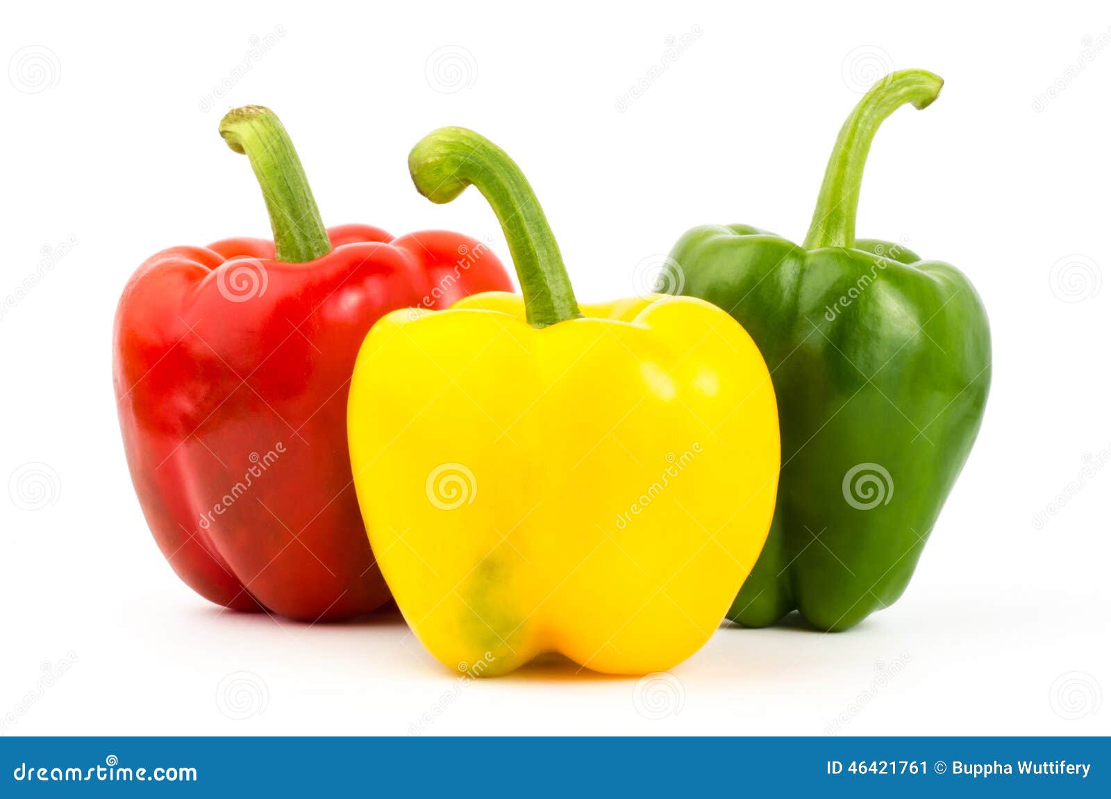 Frischer Gemüsepaprika stockbild. Bild von gemüse, essen - 46421761