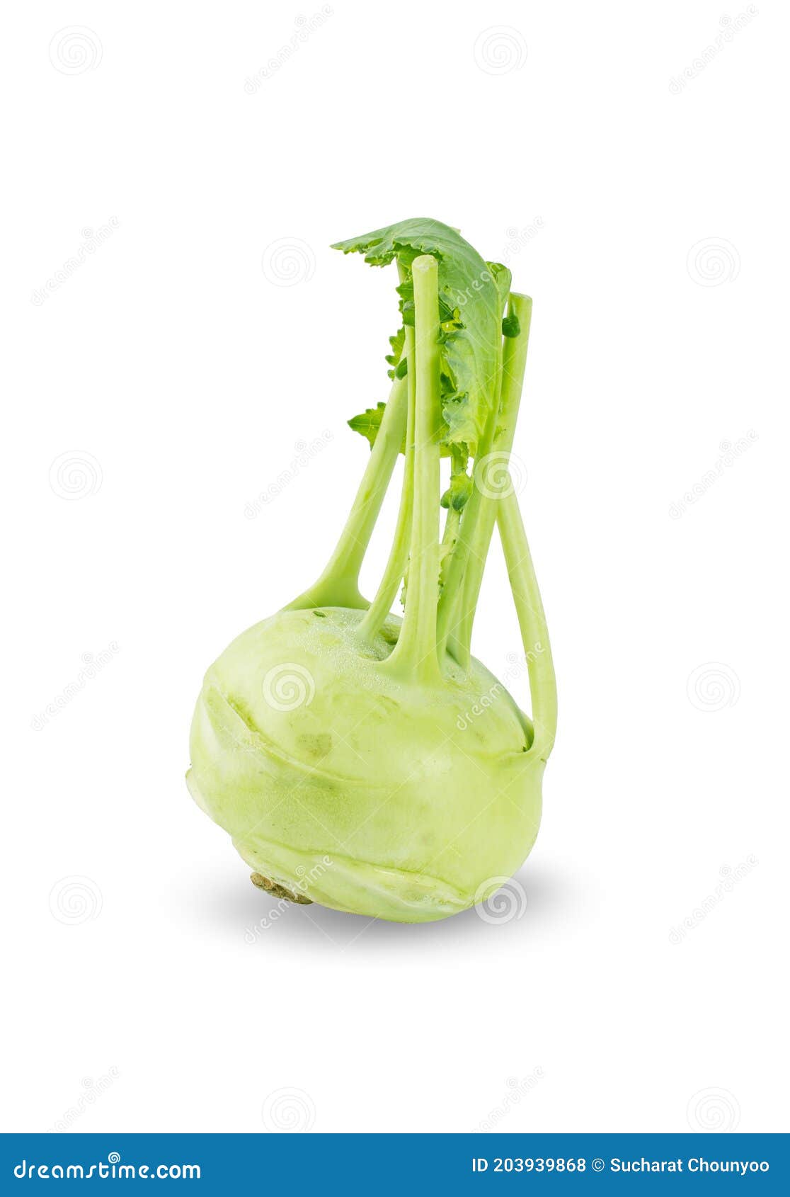 Frischer Kohlrabi Mit Grünen Blades Auf Weißem Hintergrund Isolierten ...