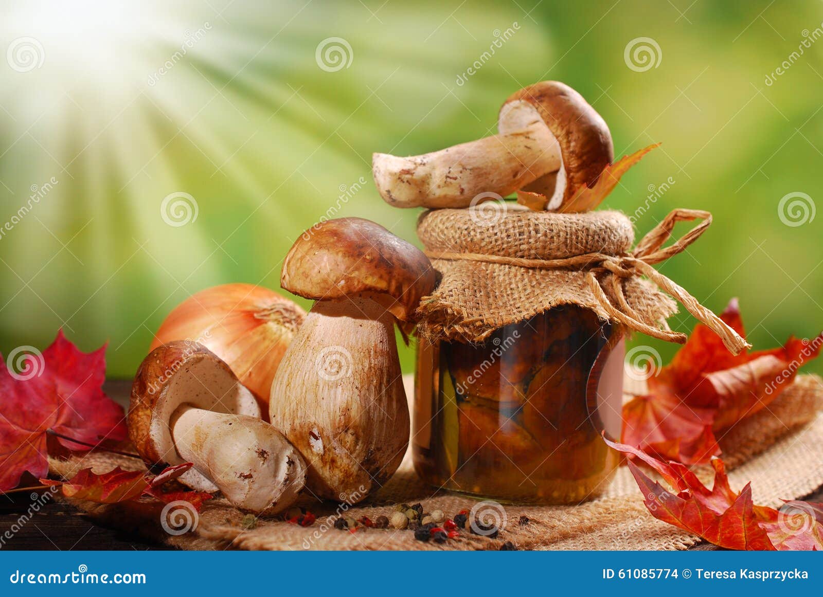 Frisches Porcini Und in Essig Eingelegte Pilze Stockfoto - Bild von ...