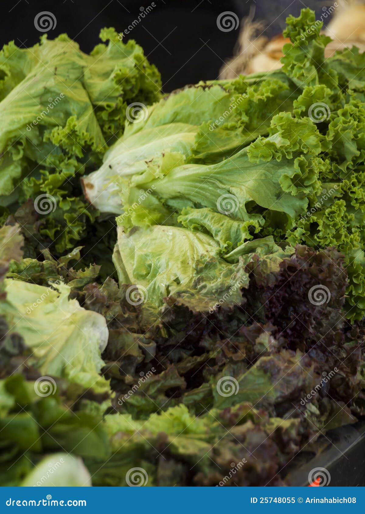 Frisches vegetables. Neues biologisches Lebensmittel am lokalen Landwirtmarkt Landwirtmärkte sind eine traditionelle Methode des Verkaufs der Agrarerzeugnisse