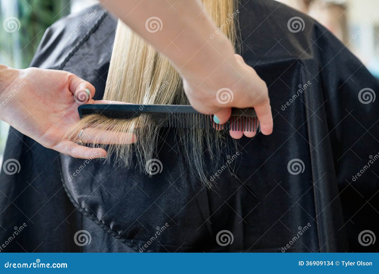 Frisör som kammar hår av kunden. Frisör som kammar hår av en blond kvinnlig kund för frisyr på salongen
