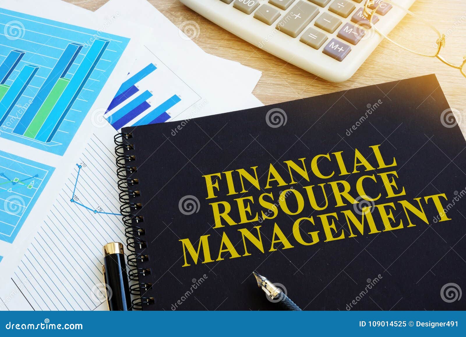 FRM Financial Resource Management Report. Stock Image Image of