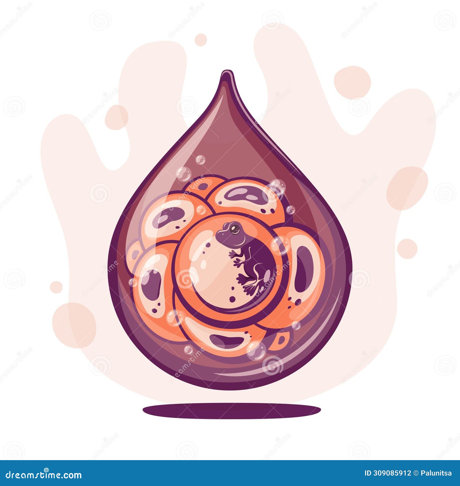 Frog Eggs in a Drop of Water Stock Illustration Illustration of