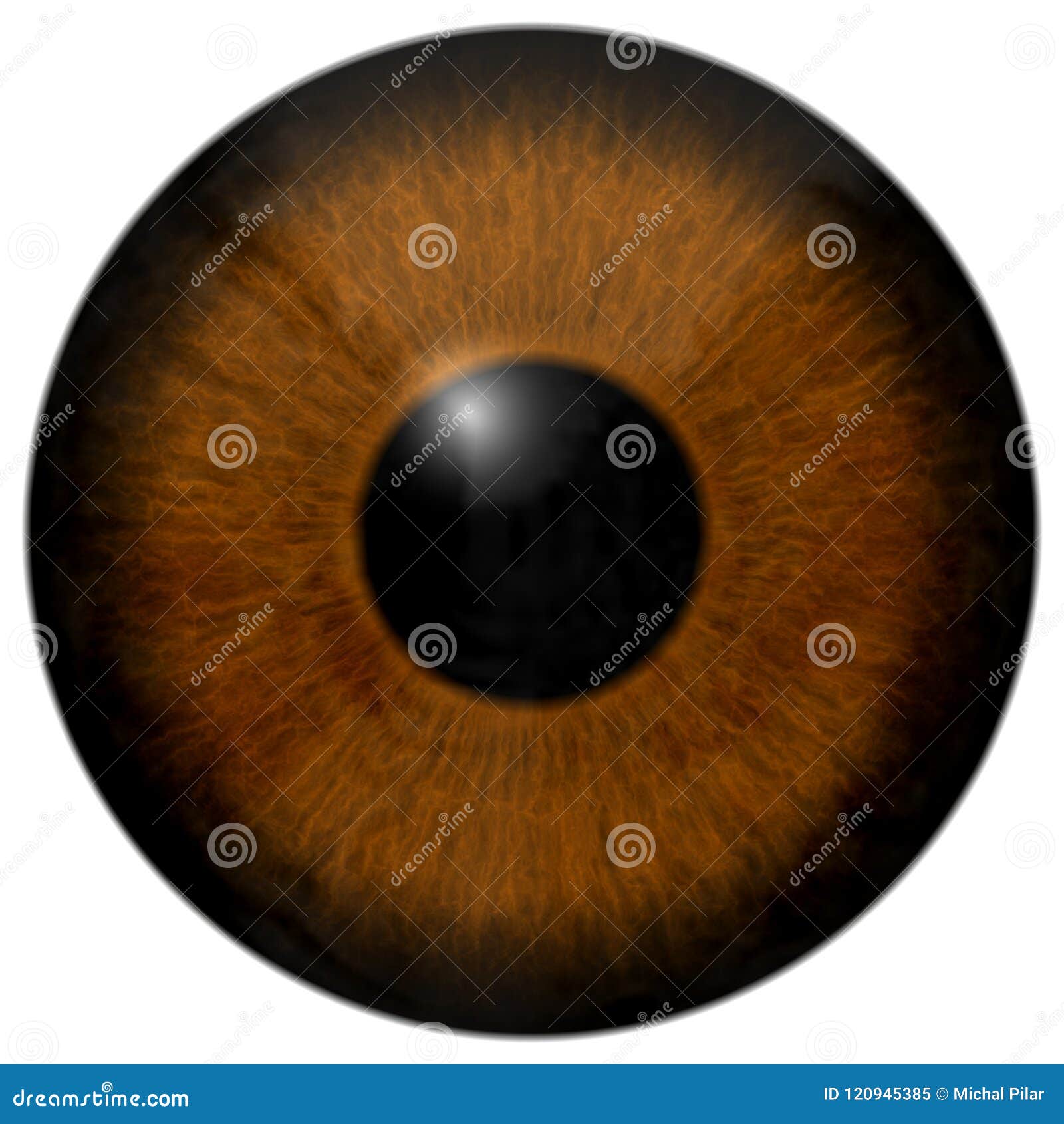 Frog Eye 20d Texture, Animal Eye Stock Image   Image of retina ...