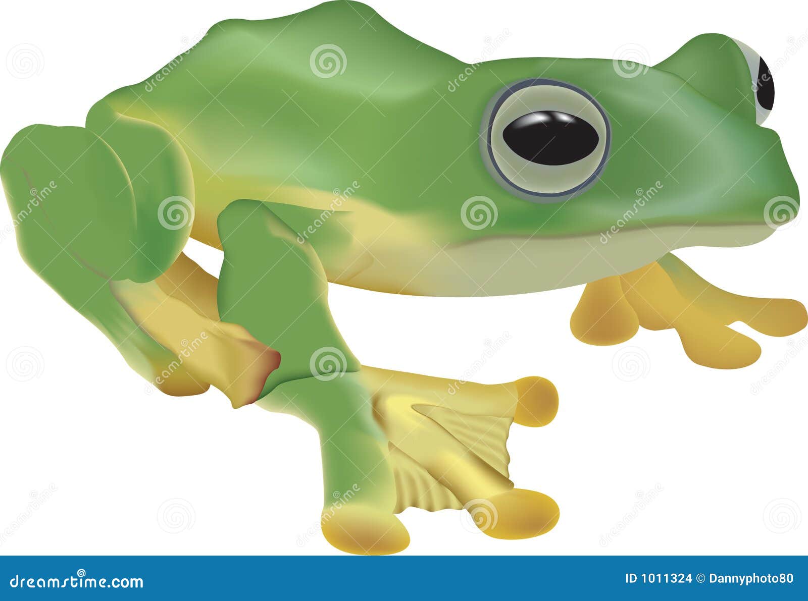 Frog Illustration Stock Images - Image: 1011324