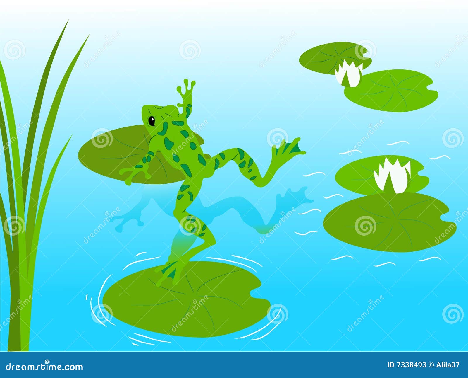 clipart pond animals - photo #38