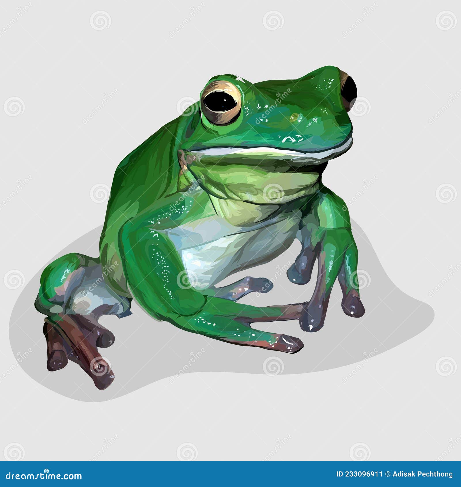Frog Realistic Hand Drawn Vector and Illustrations White