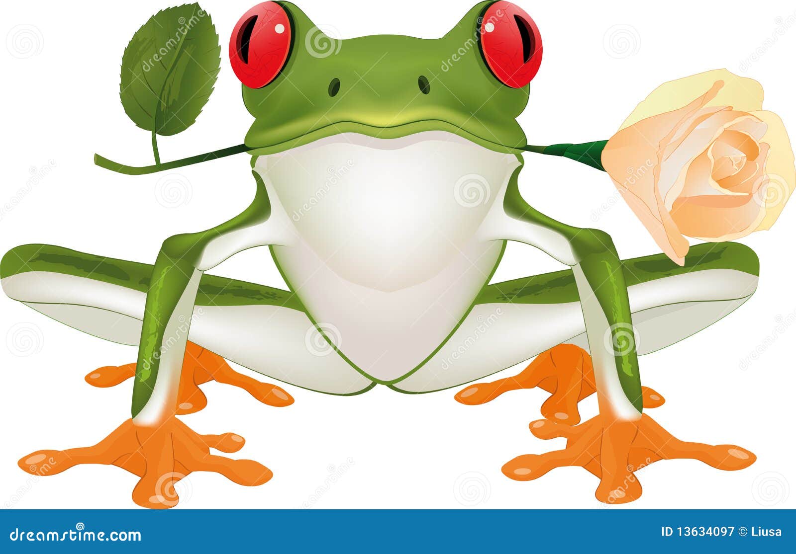 Frog with a rose stock vector. Illustration of gift, cartoon 13634097