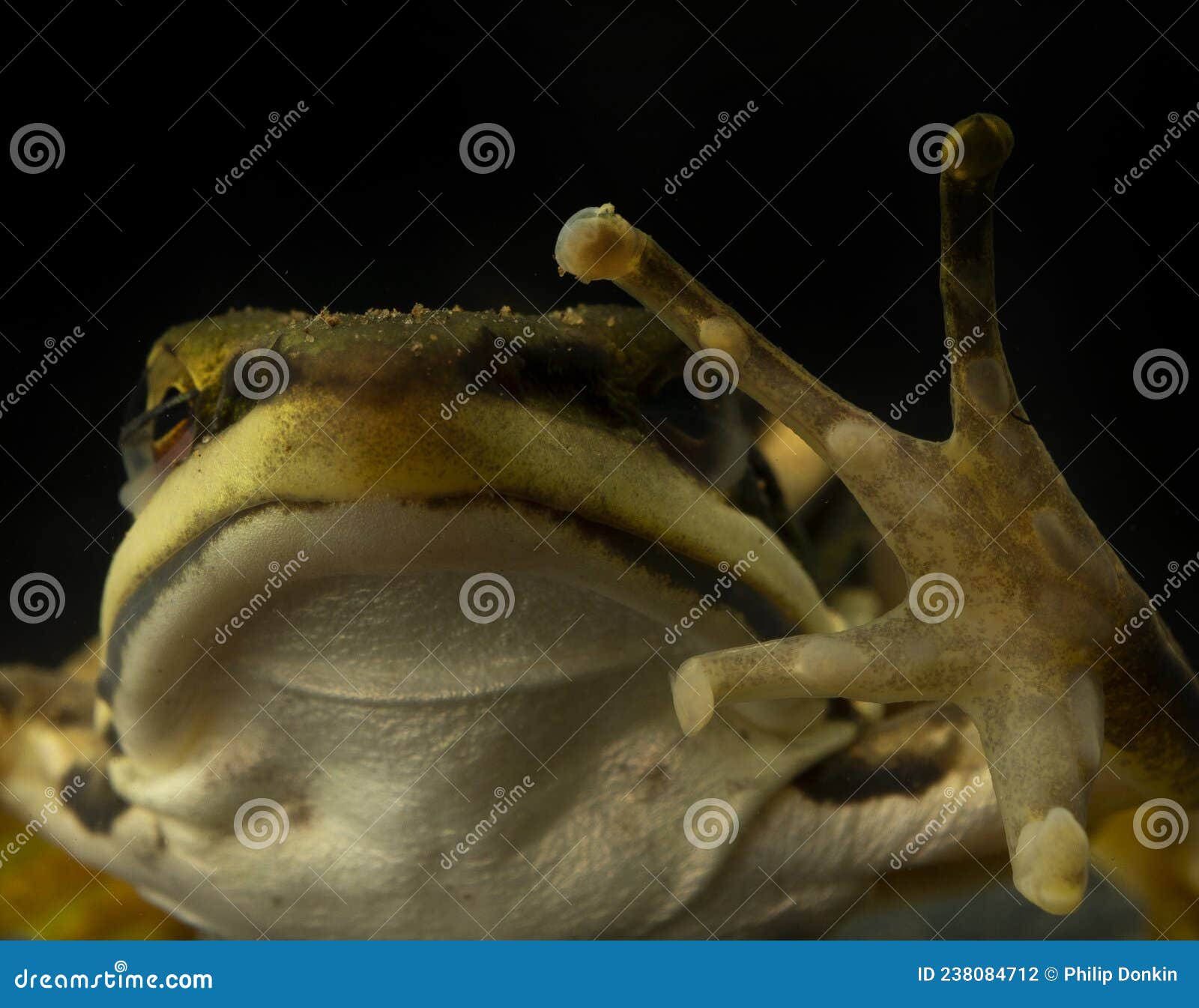 My Image 22