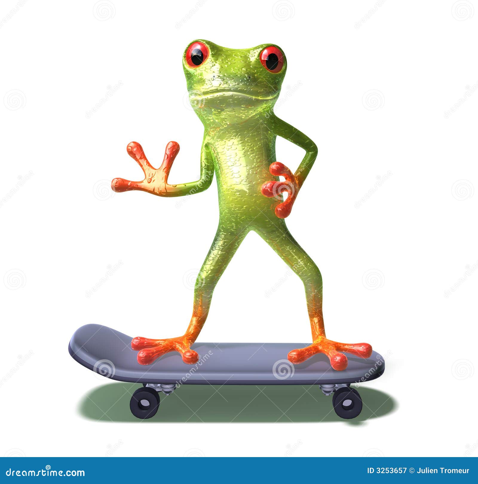 Frog On A Skateboard Royalty Free Stock Photography Image 3253657
