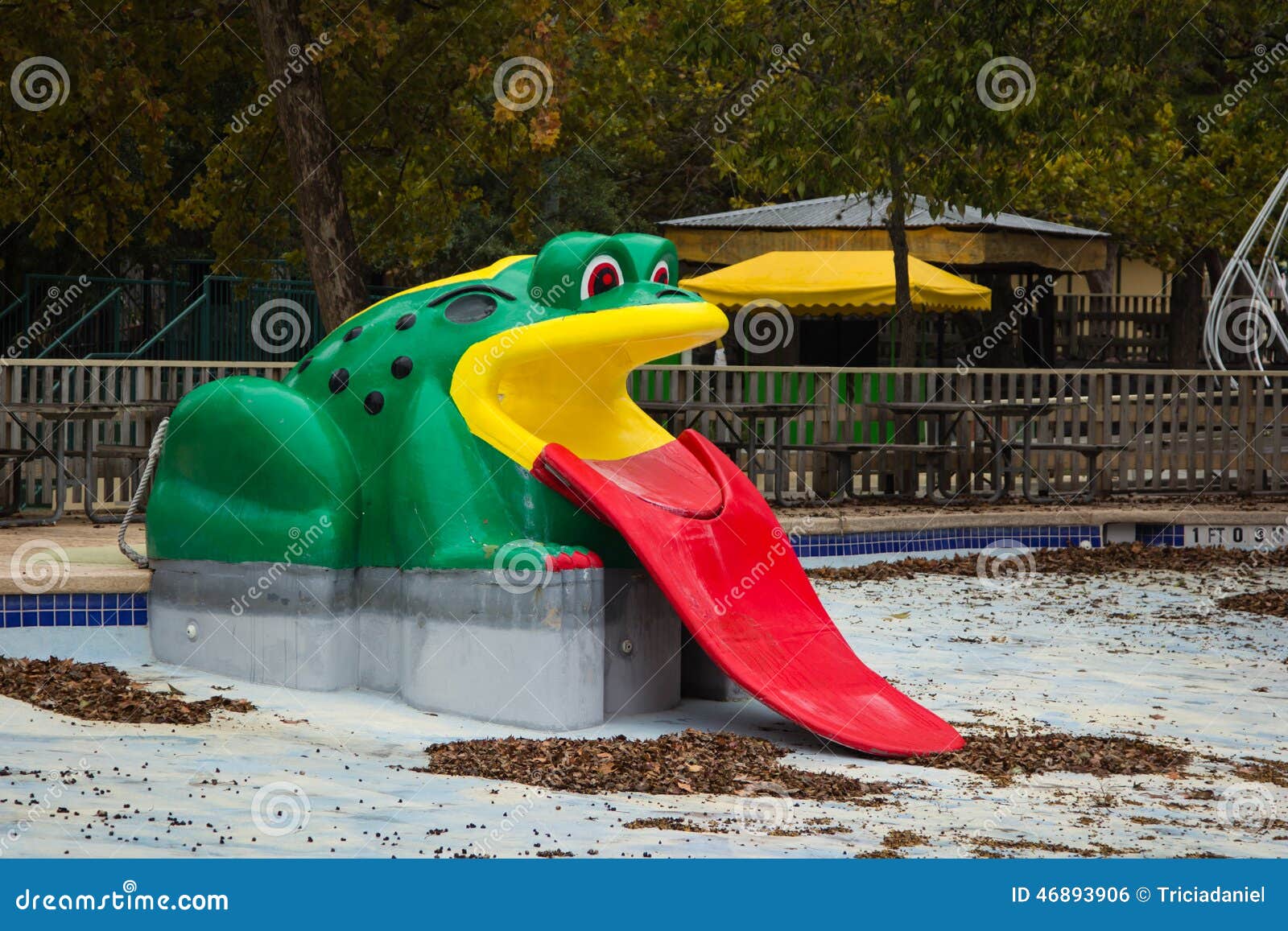 Frog Slide stock photo. Image of amusement, braunfels 46893906