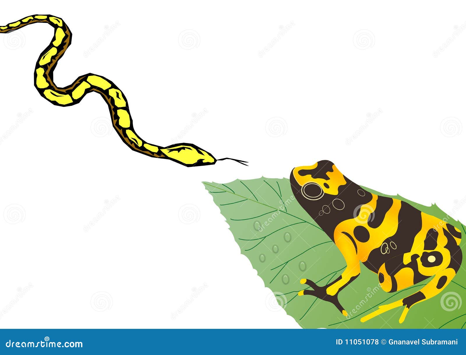 Frog and snake stock illustration. Illustration of environmental - 11051078