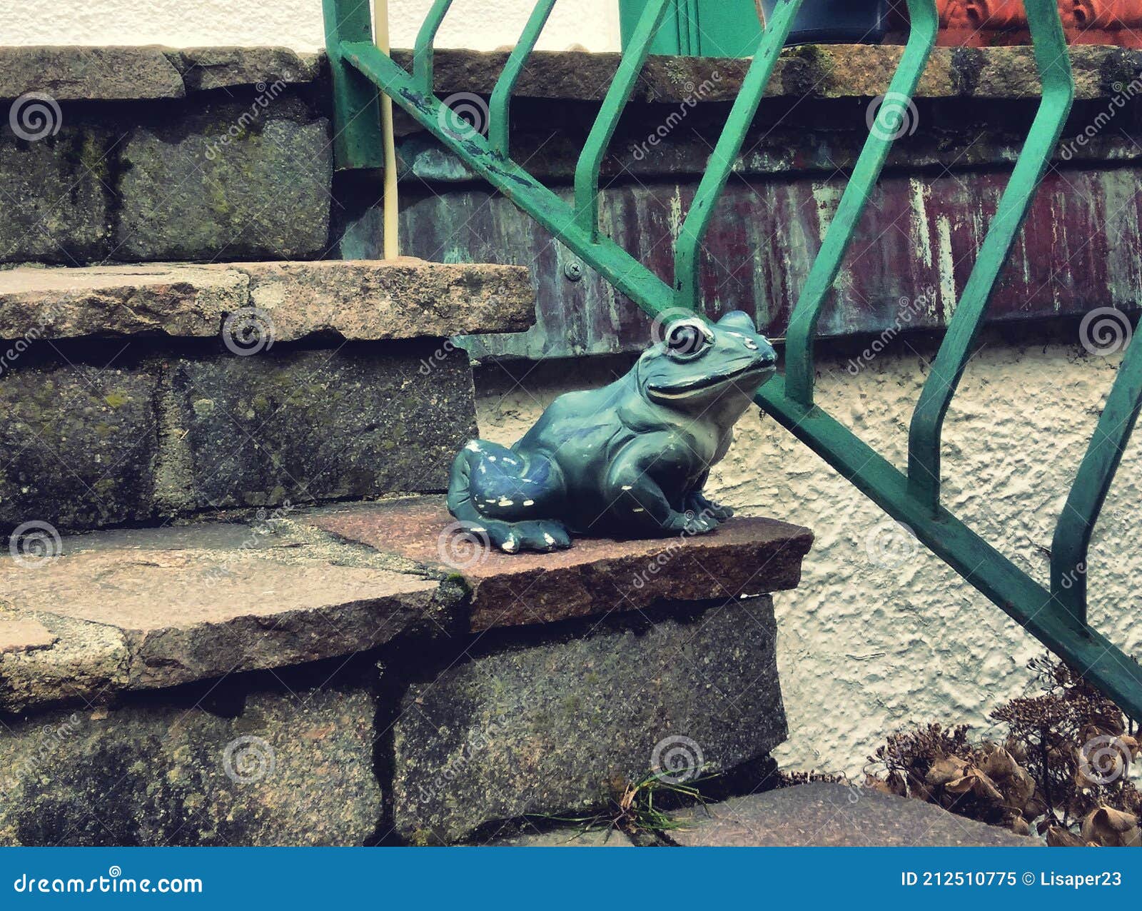 a frog on the stairs