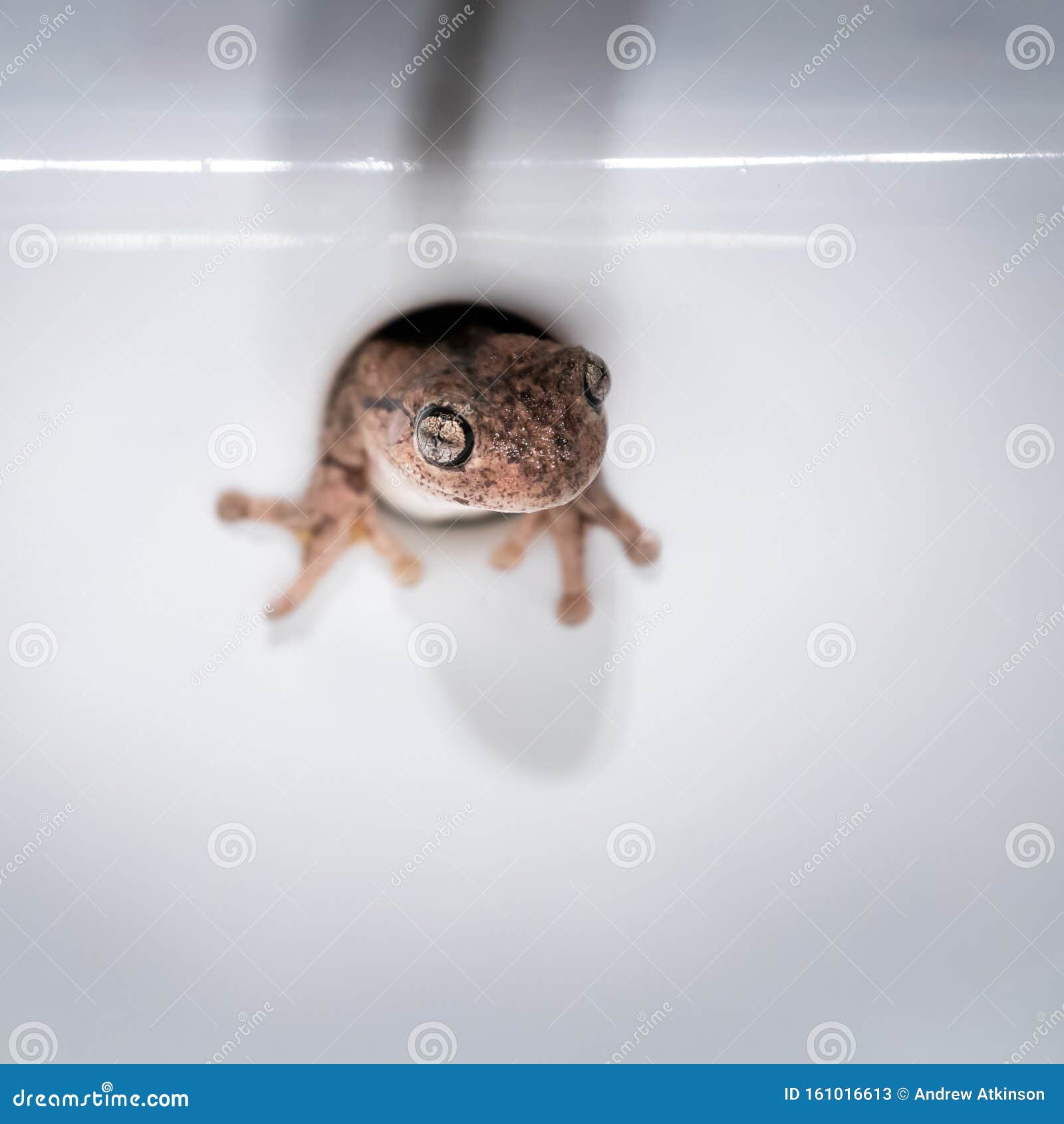 My Image 24