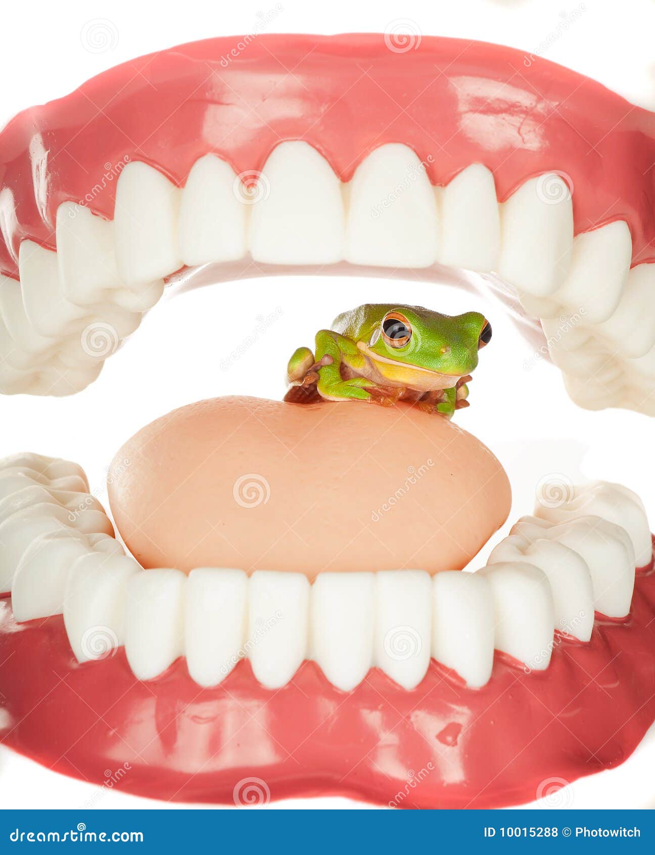 frog in throat