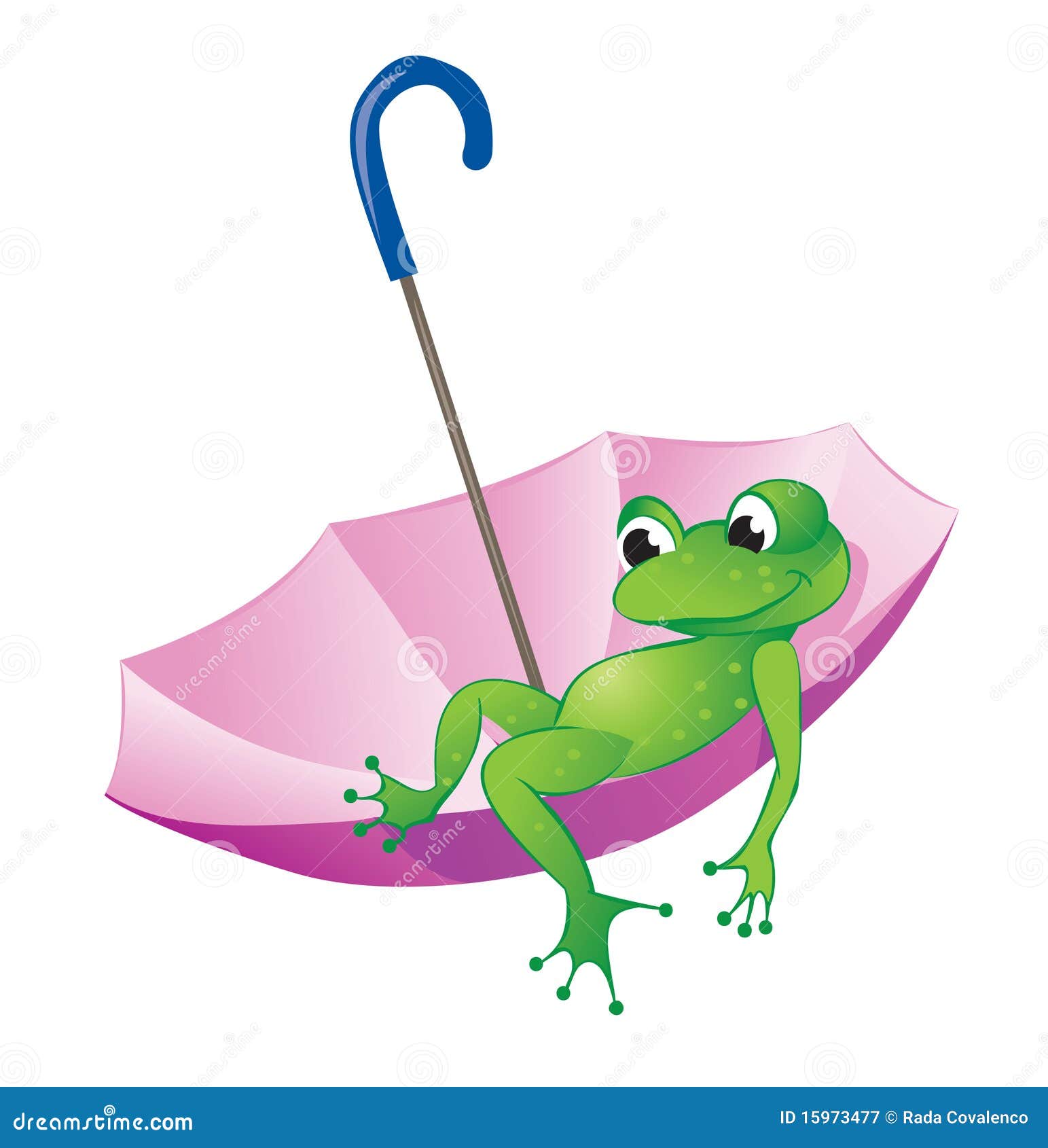 Frog and umbrella stock vector. Illustration of animal 15973477
