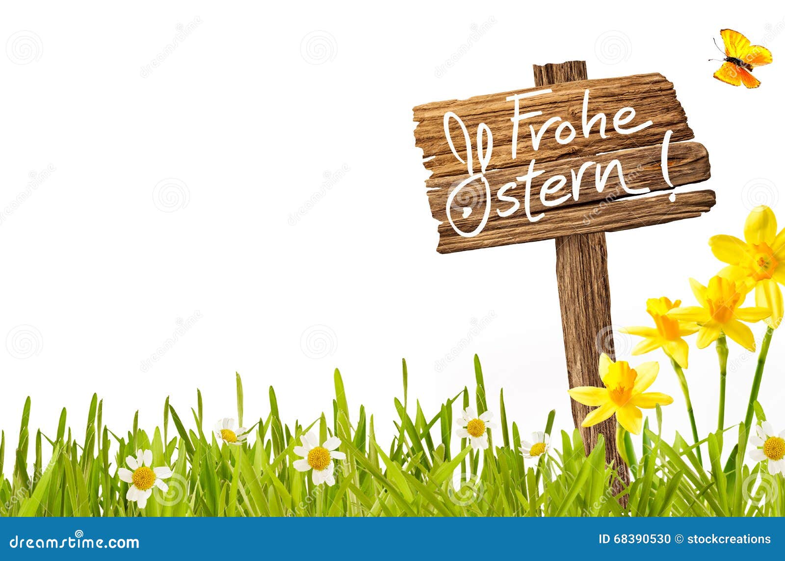 Frohe Ostern德国人复活节贺卡. Frohe Ostern德国人复活节与手写的愿望的贺卡模板在新鲜的春天草的一块土气木牌与五颜六色的在与拷贝空间的白色隔绝的黄水仙和雏菊