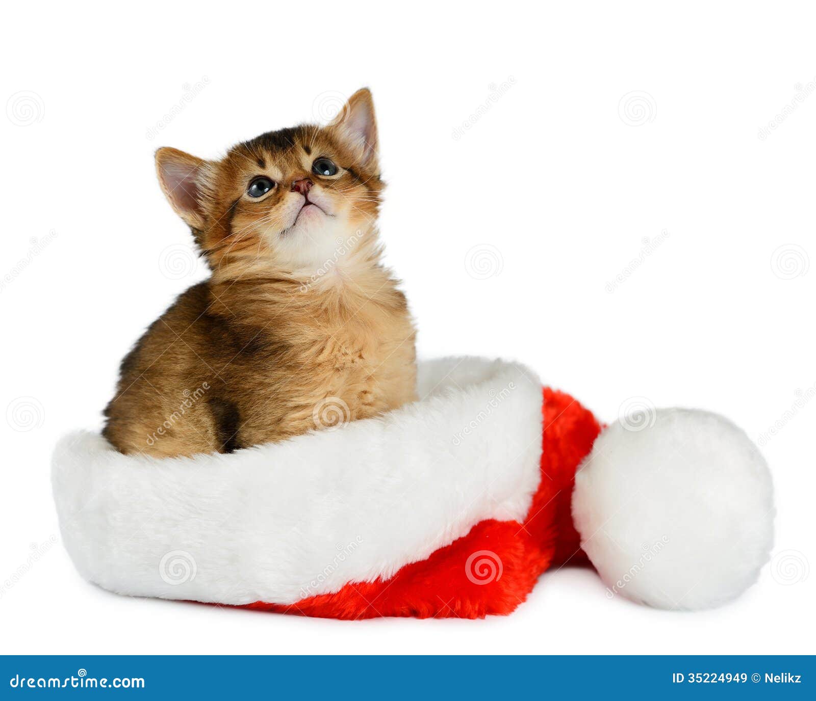 Weihnacht Weihnacht