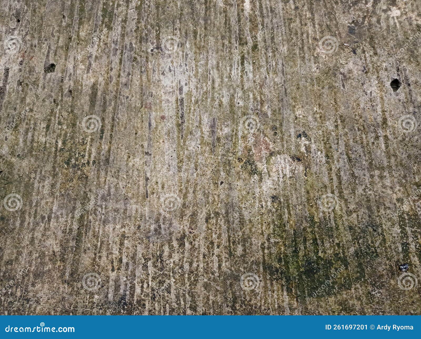 Front Cement Floor Of The House Stock Image Image Of Nature House concrete-photo-contest-2016-surecrete-products-surecrete-decorative