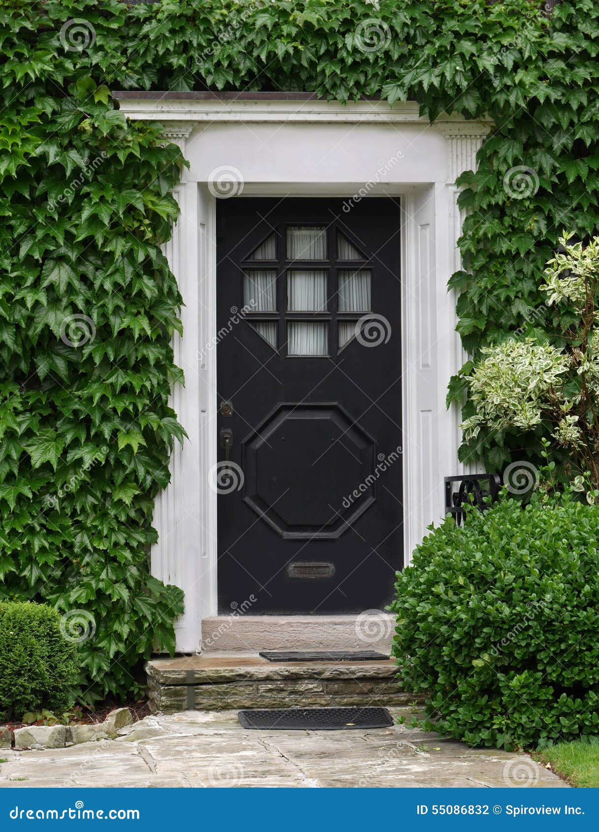 front door with ivy