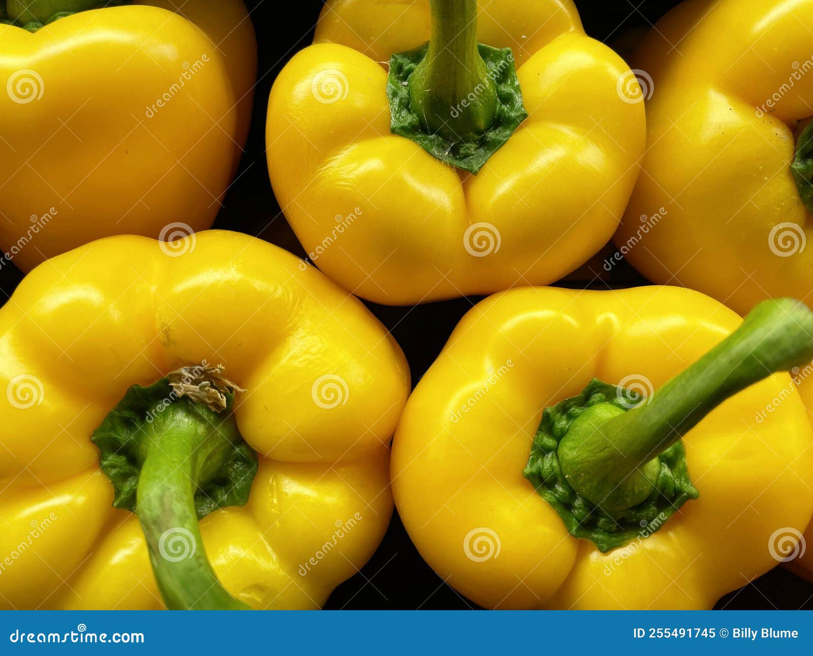 Front Facing Yellow Peppers in a Bunch Stock Image Image of front