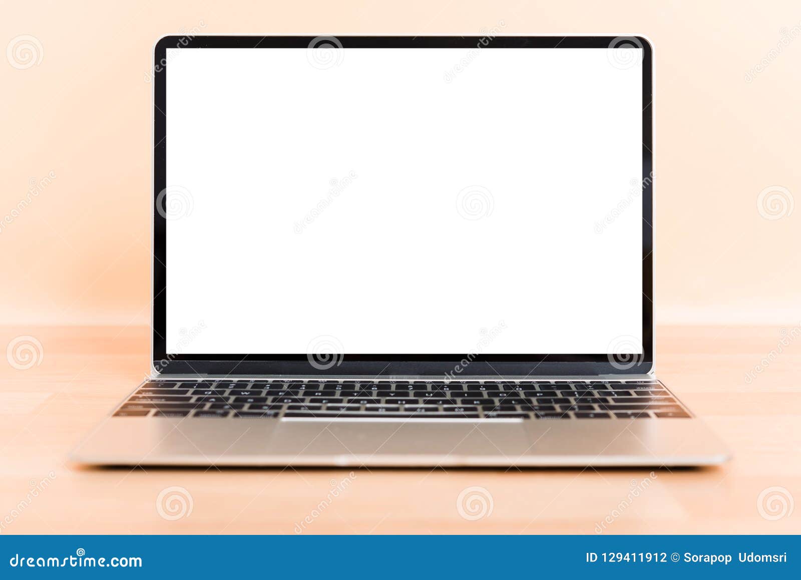 Front Laptop Computer Blank Screen Stock Photo Image of desktop