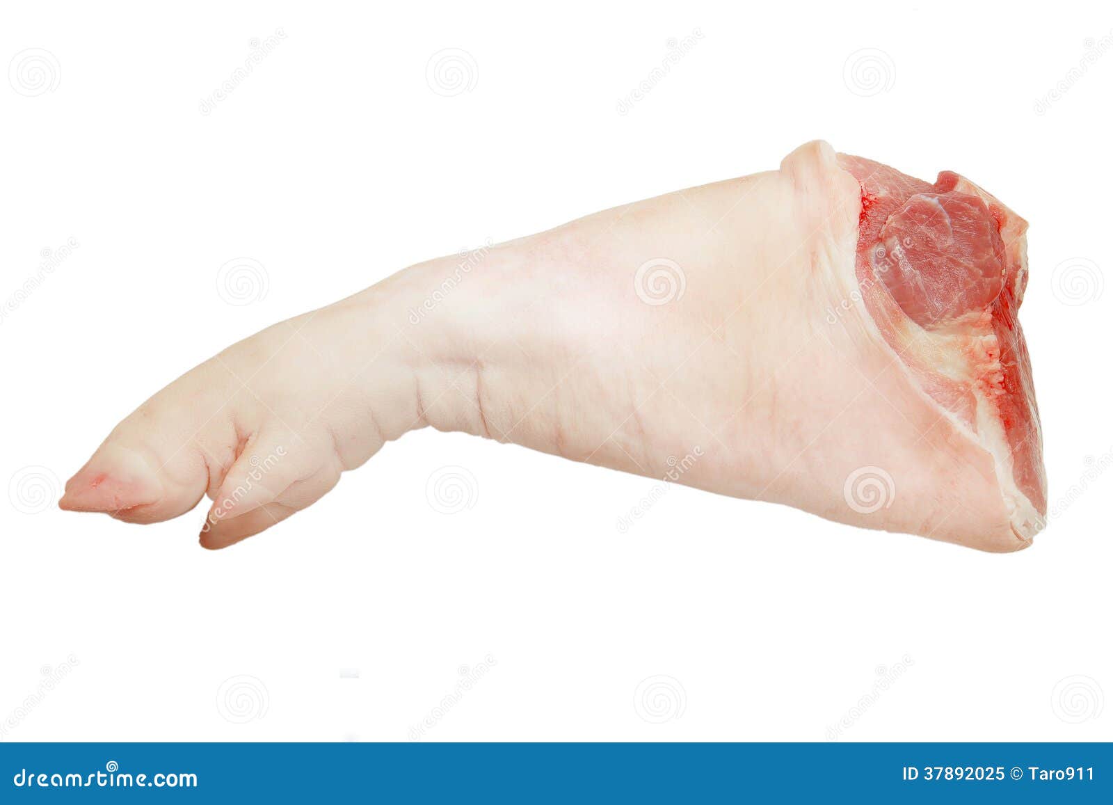 Front pork legs stock image. Image of ingredient, cooking 37892025