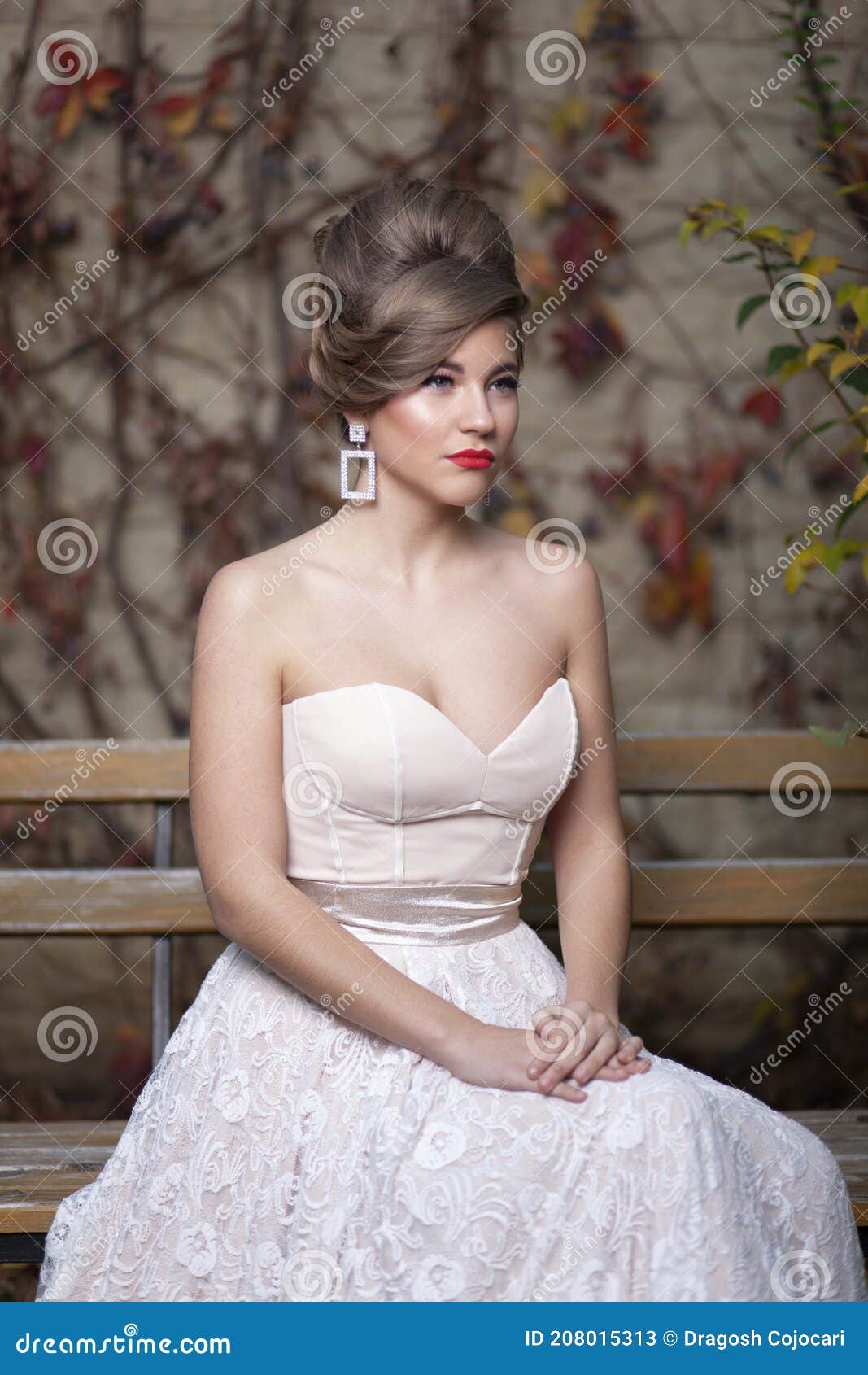 What kind of veil/hairstyle for a ball gown?