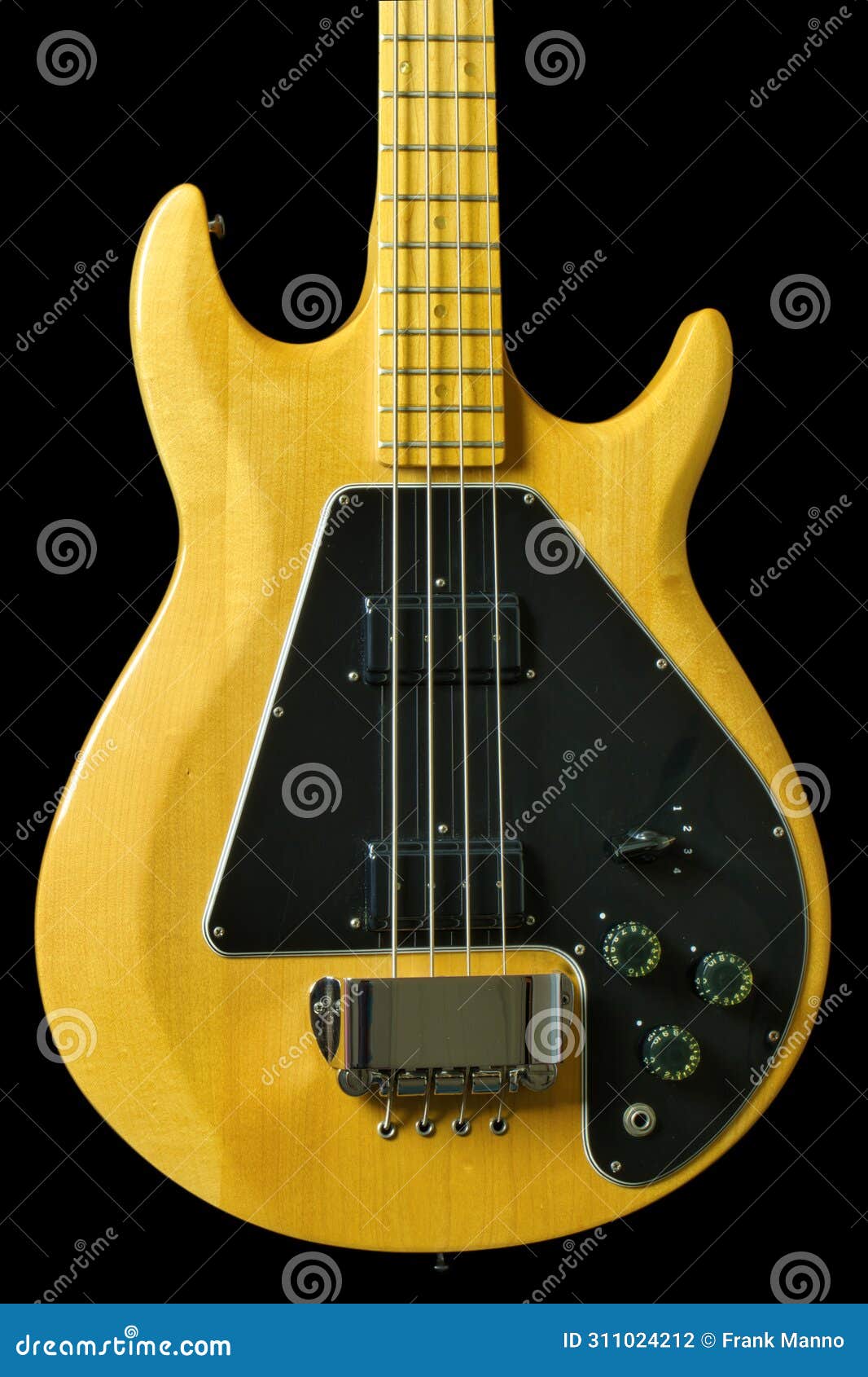 The Front of a Solid Maple Bass Guitar with Fine Grain, Knobs and Switches Stock Photo Image