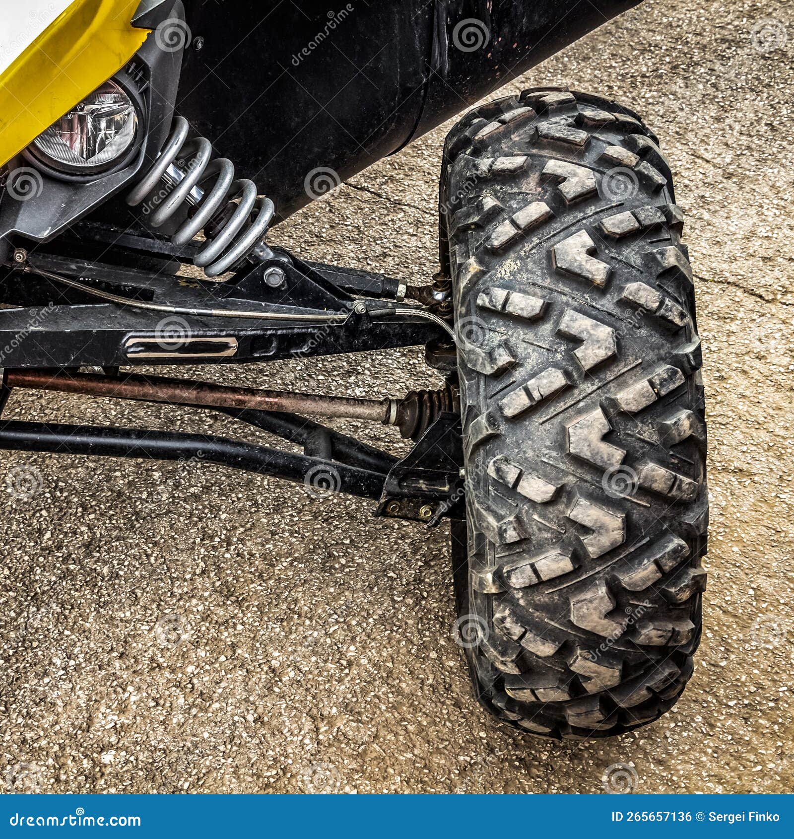 The Front Suspension is a Buggy Stock Photo Image of harness
