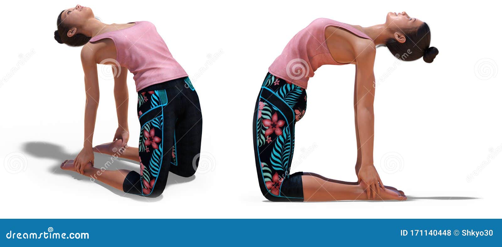 Red Yoga Cat In Camel Pose RoyaltyFree Stock Image