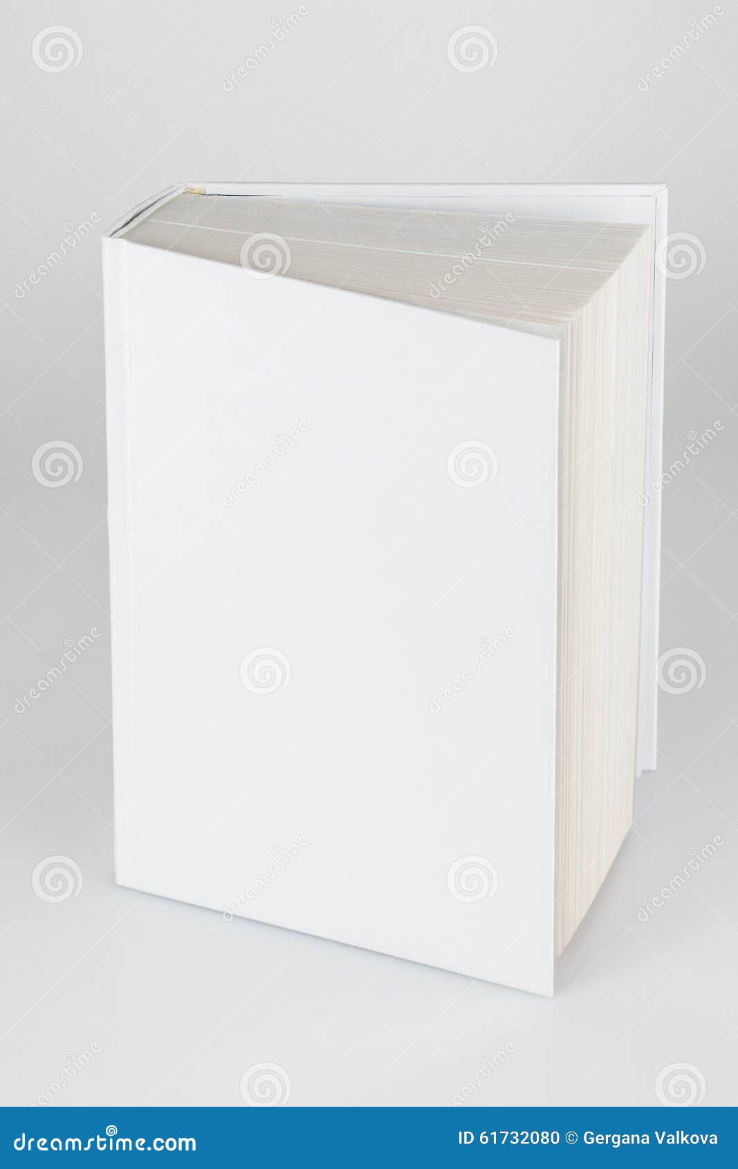 13,165 Blank Book Hardcover Stock Photos - Free & Royalty-Free Stock Photos  from Dreamstime