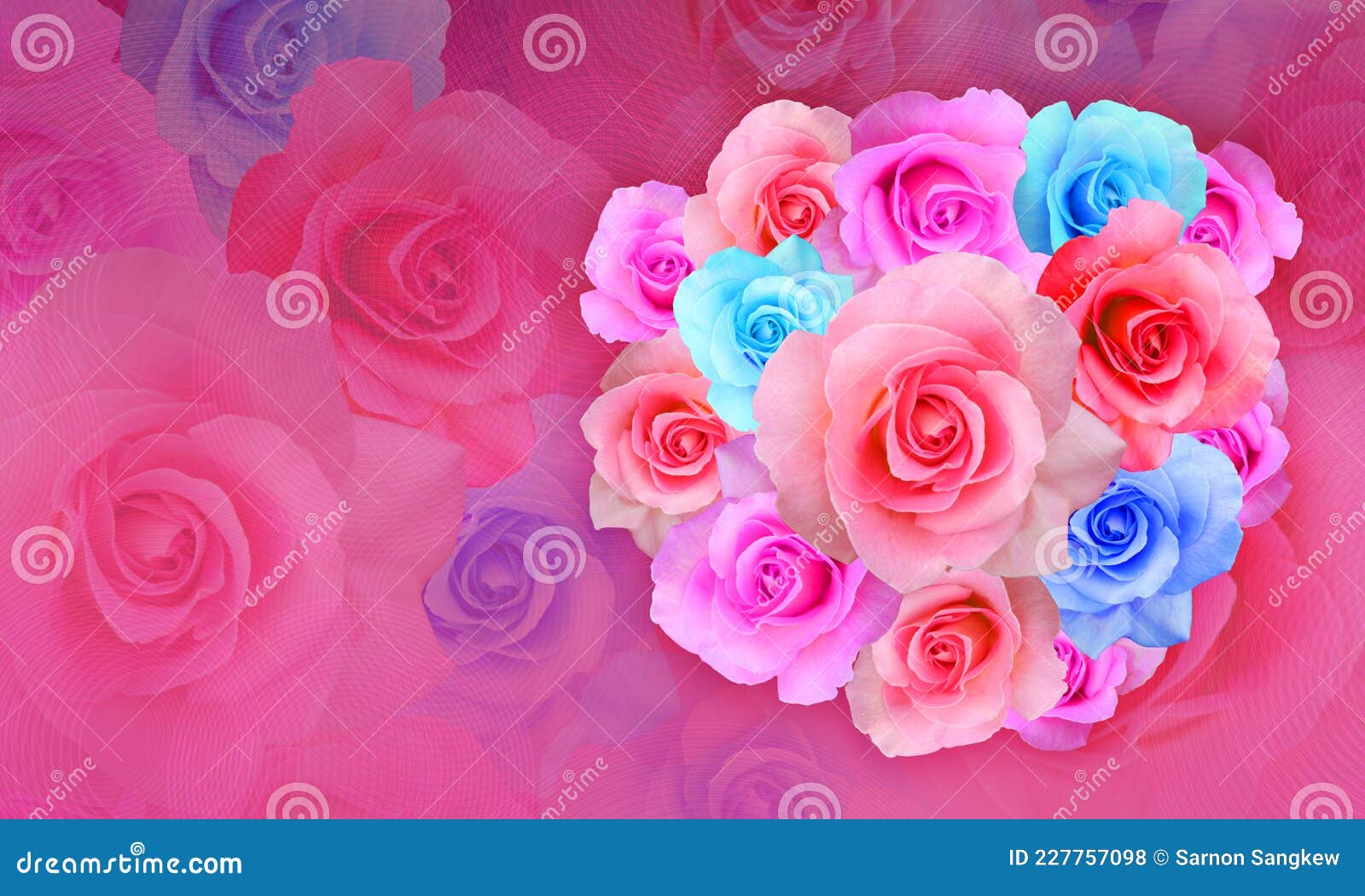 Front View Bouquet of Colorful Roses on Blur Colorful Roses Background