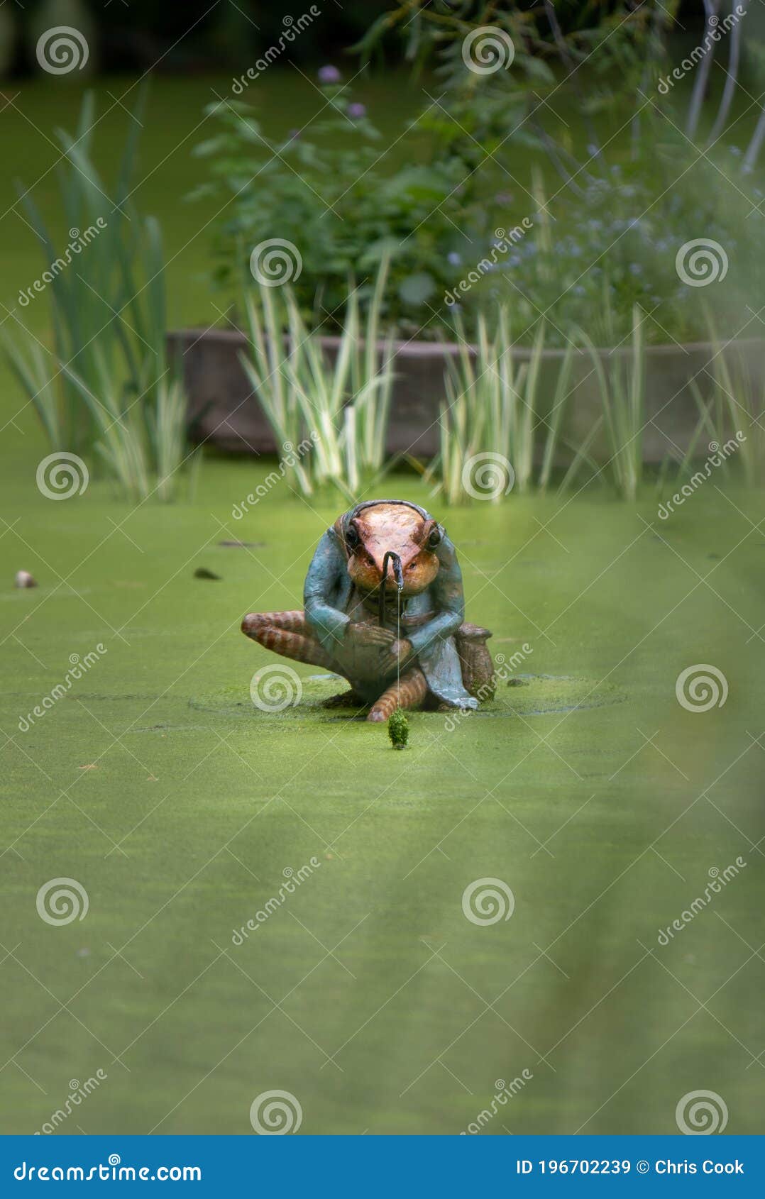 Front View of a Frog Fishing with a Fishing Rod Ornament in a Green Lake.  Telephoto Lens with Shallow Depth of Field Stock Image - Image of animal,  park: 196702239