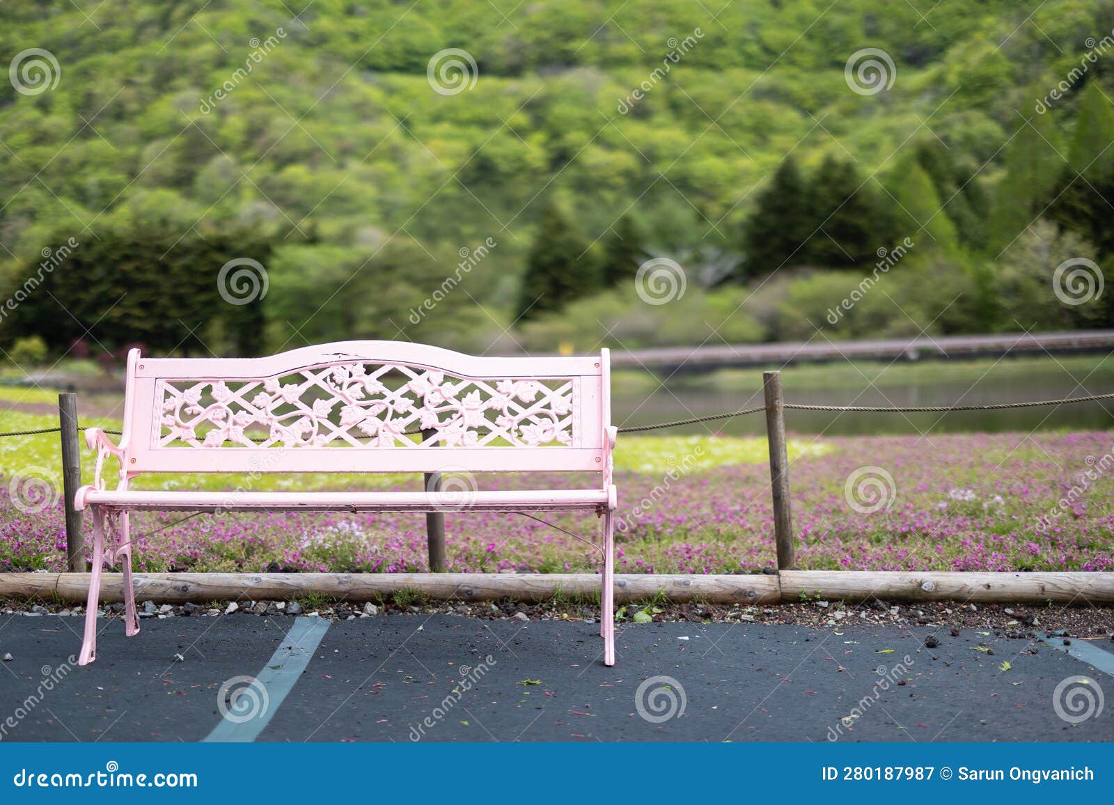 Front View of Single Empty Pink Bench in the Park on a Rainy Day Stock