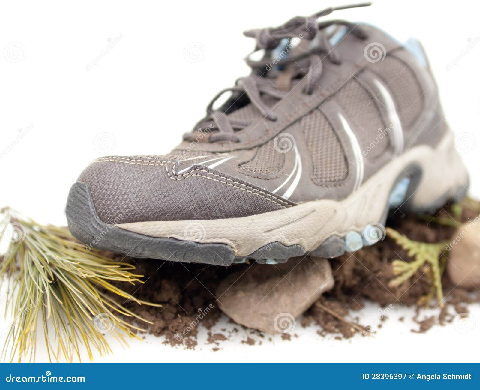 Download Front View Sneaker stock image. Image of shoe, brown ...