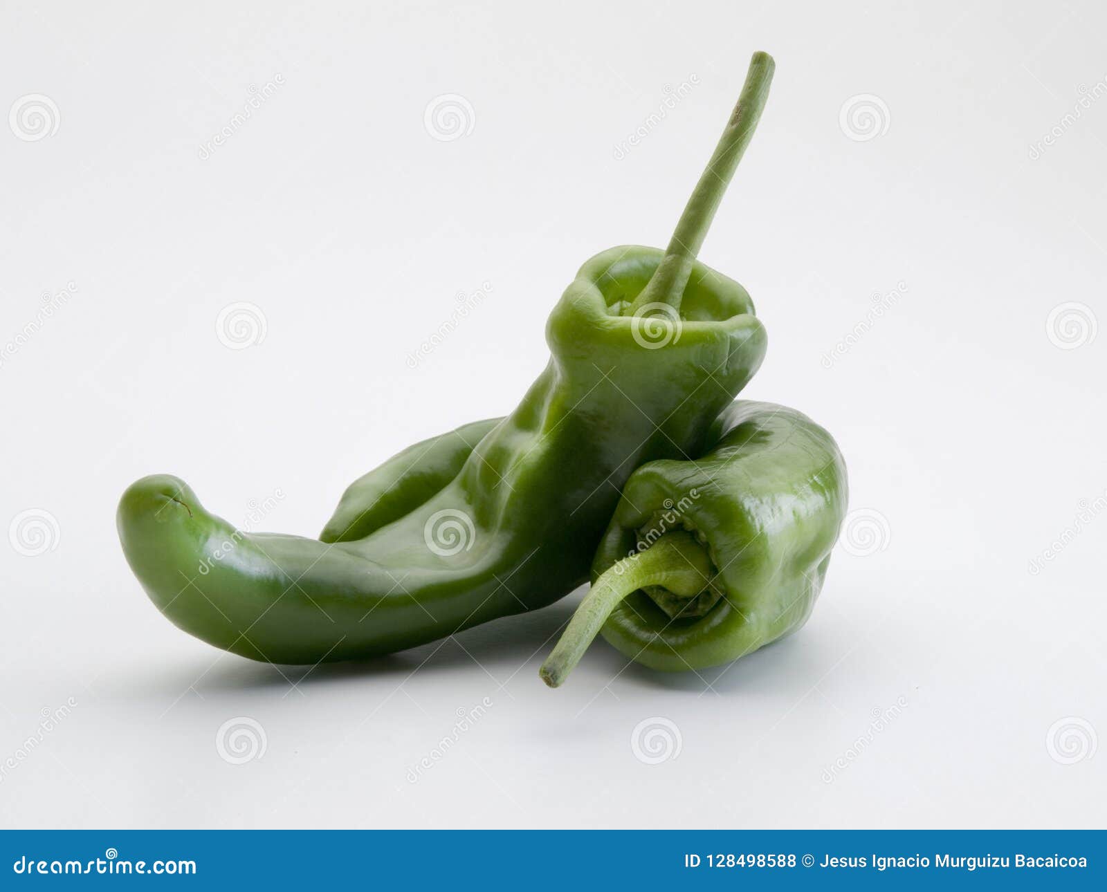front view of two green peppers from gernika
