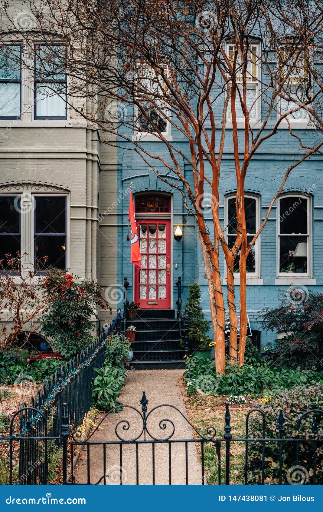 Front Yard and Blue Row House in Capitol Hill, Washington, DC Stock