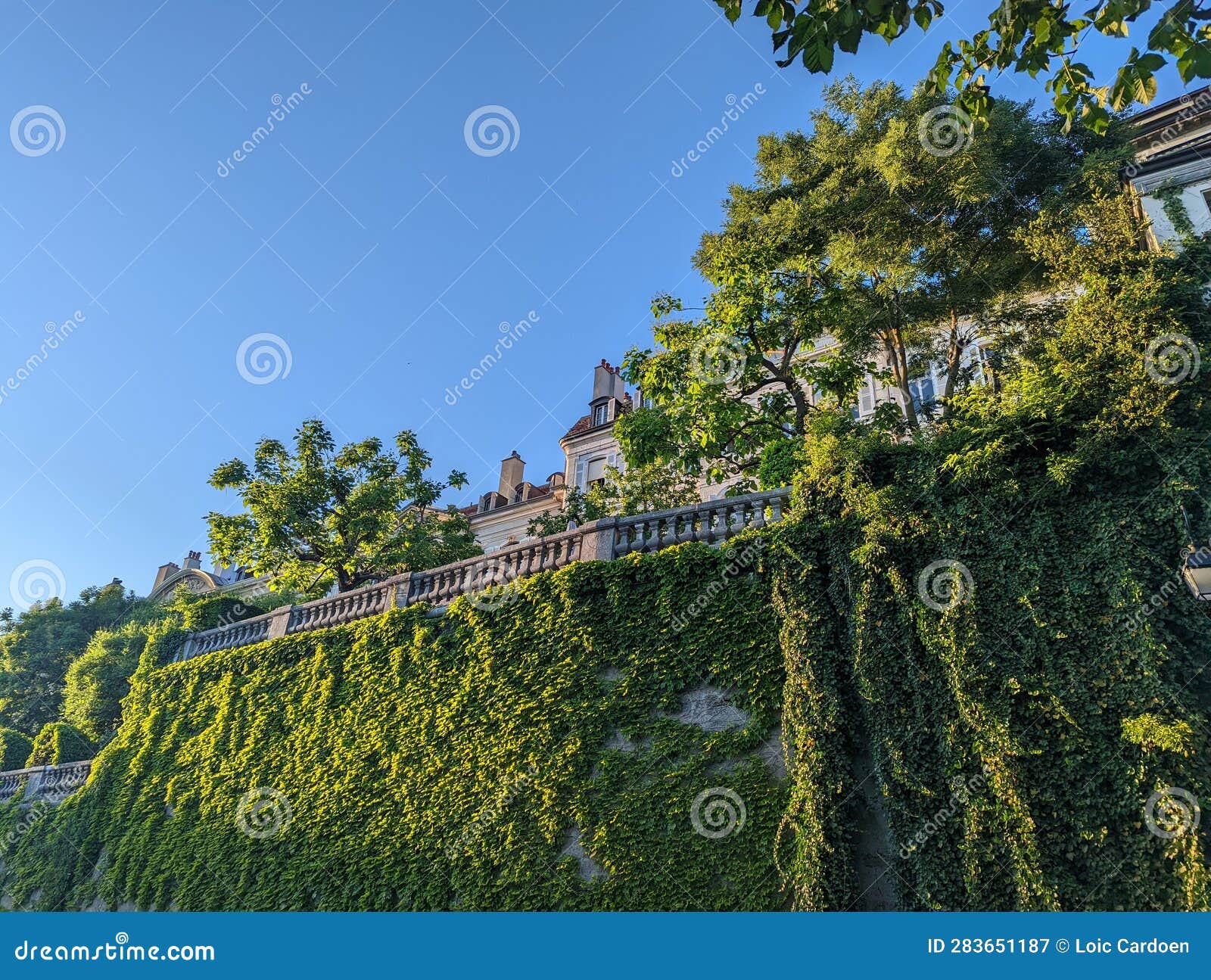 frontage with vegetation in switzerland