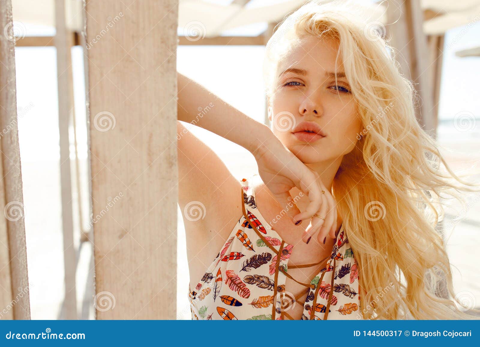 102,561 Sexy Blonde Stock Photos