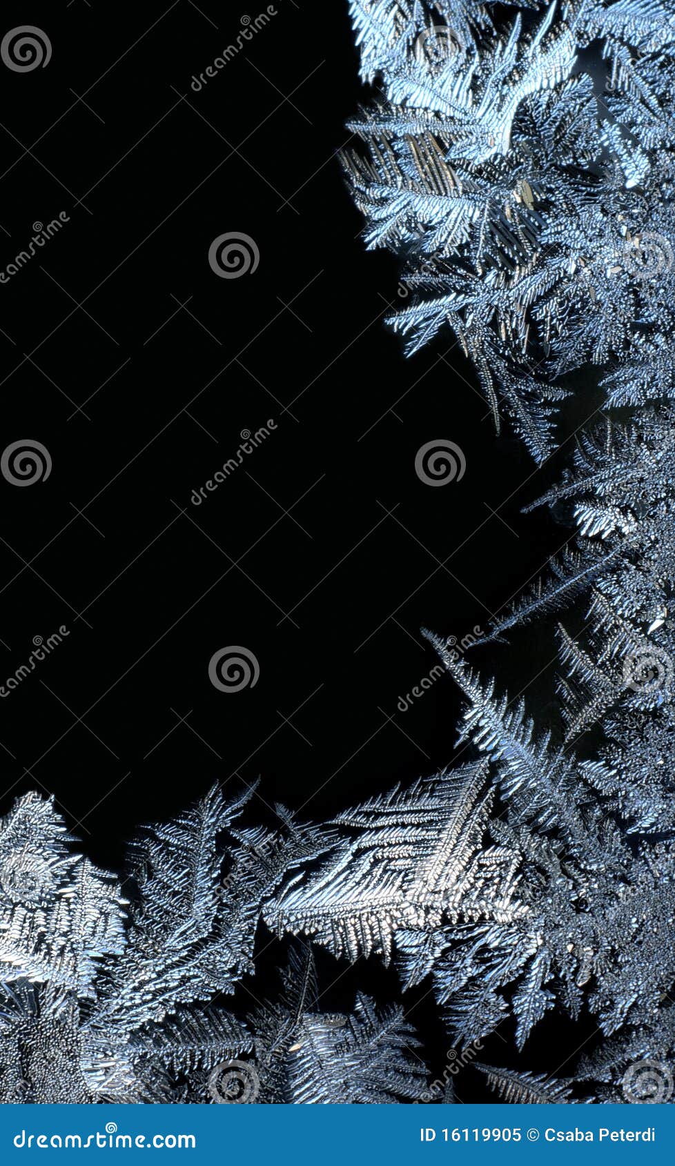 frost frame on black