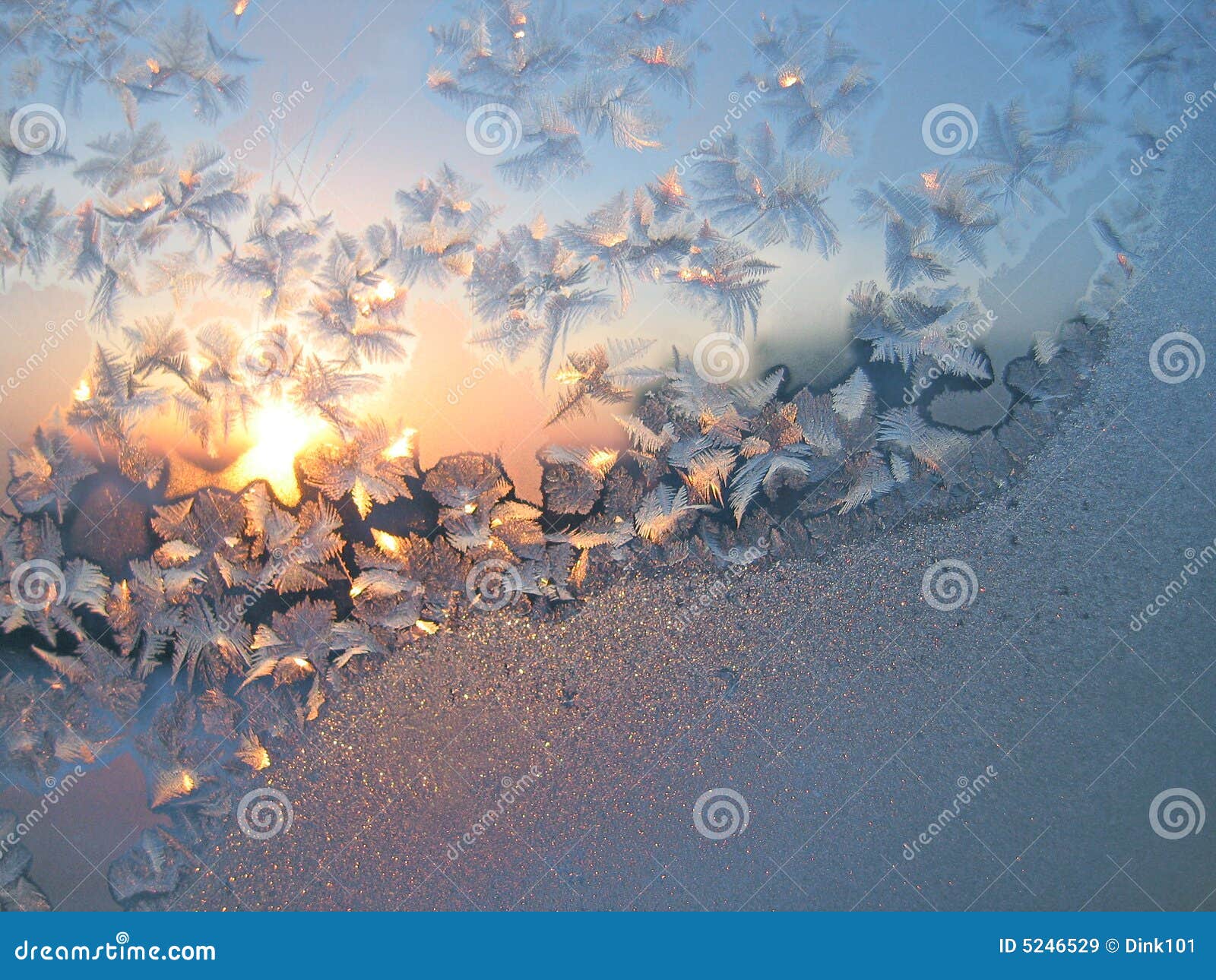 frost and sun background