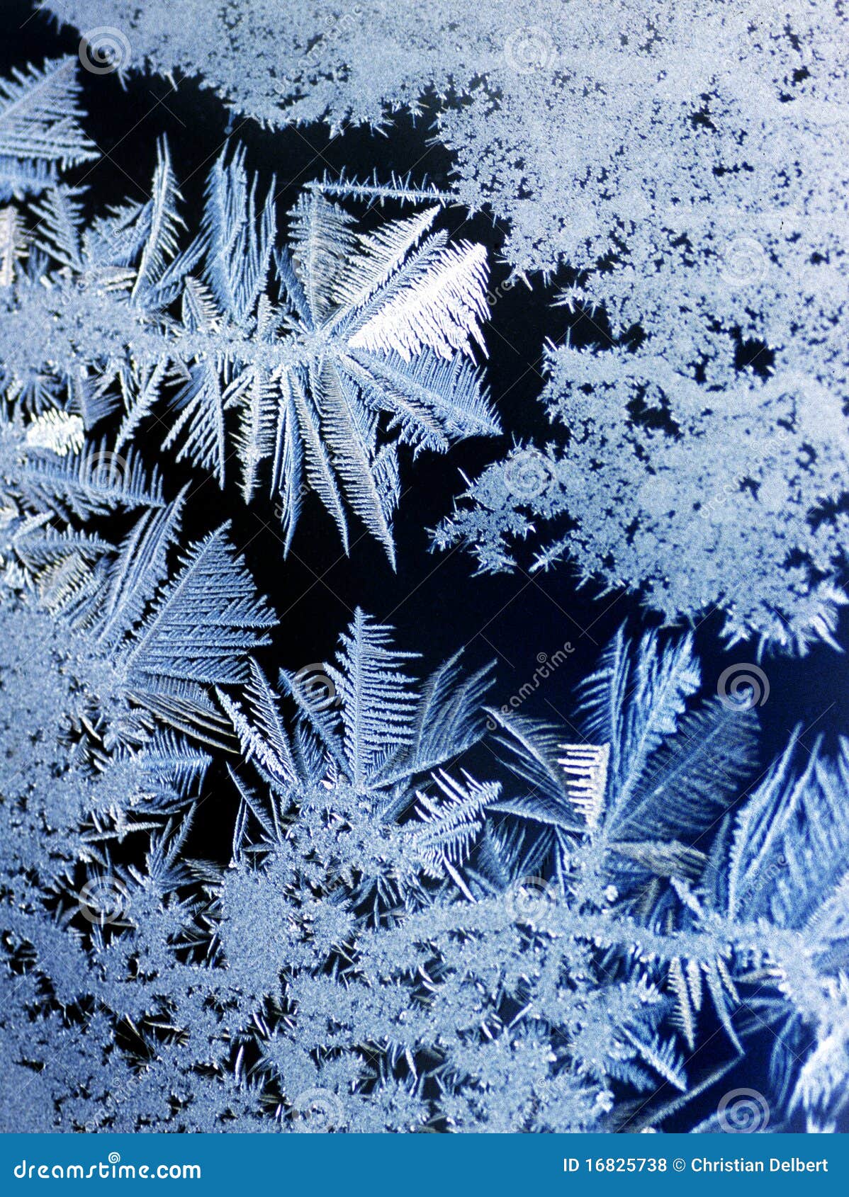 frost on window pane
