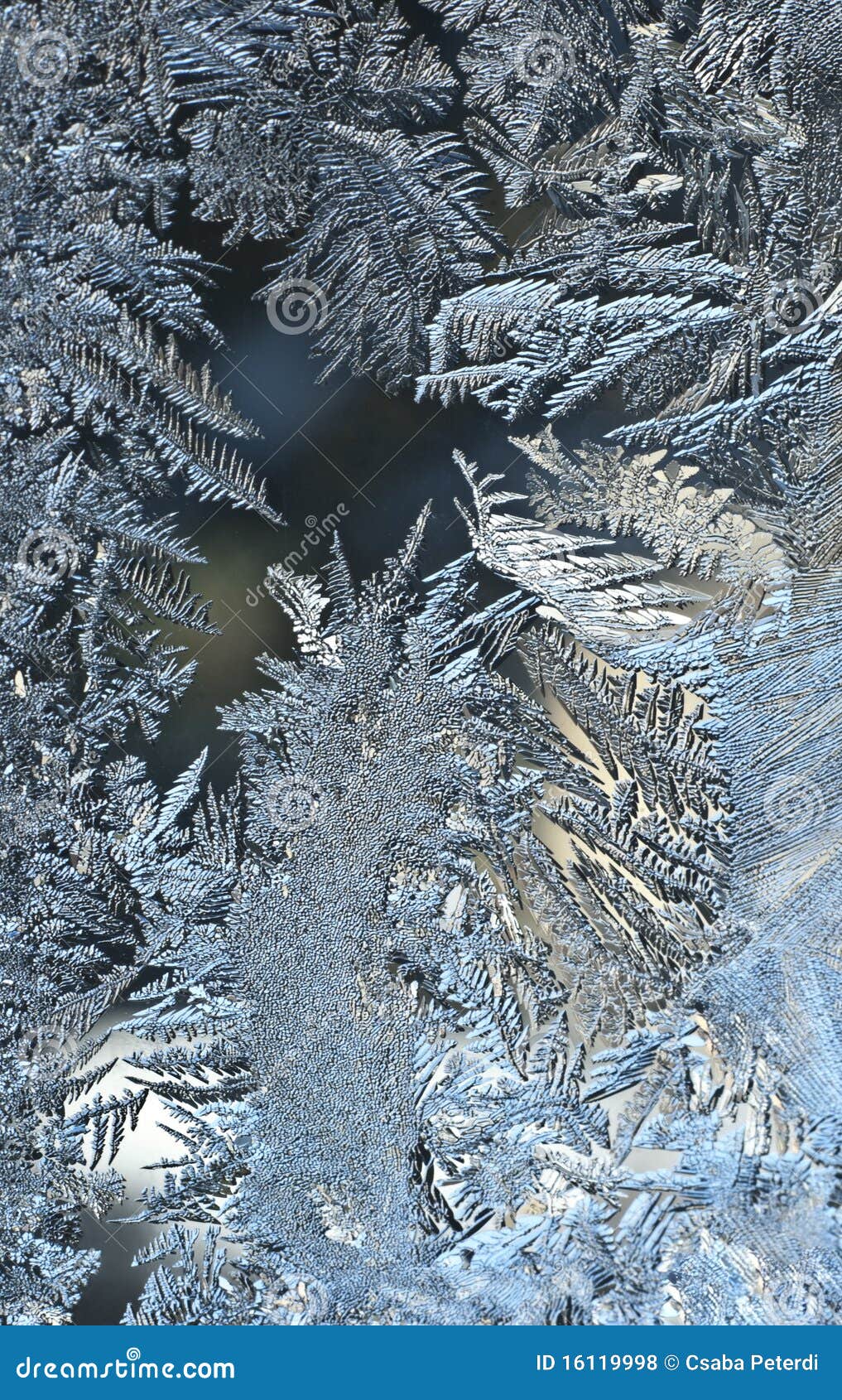 frost-work on a window