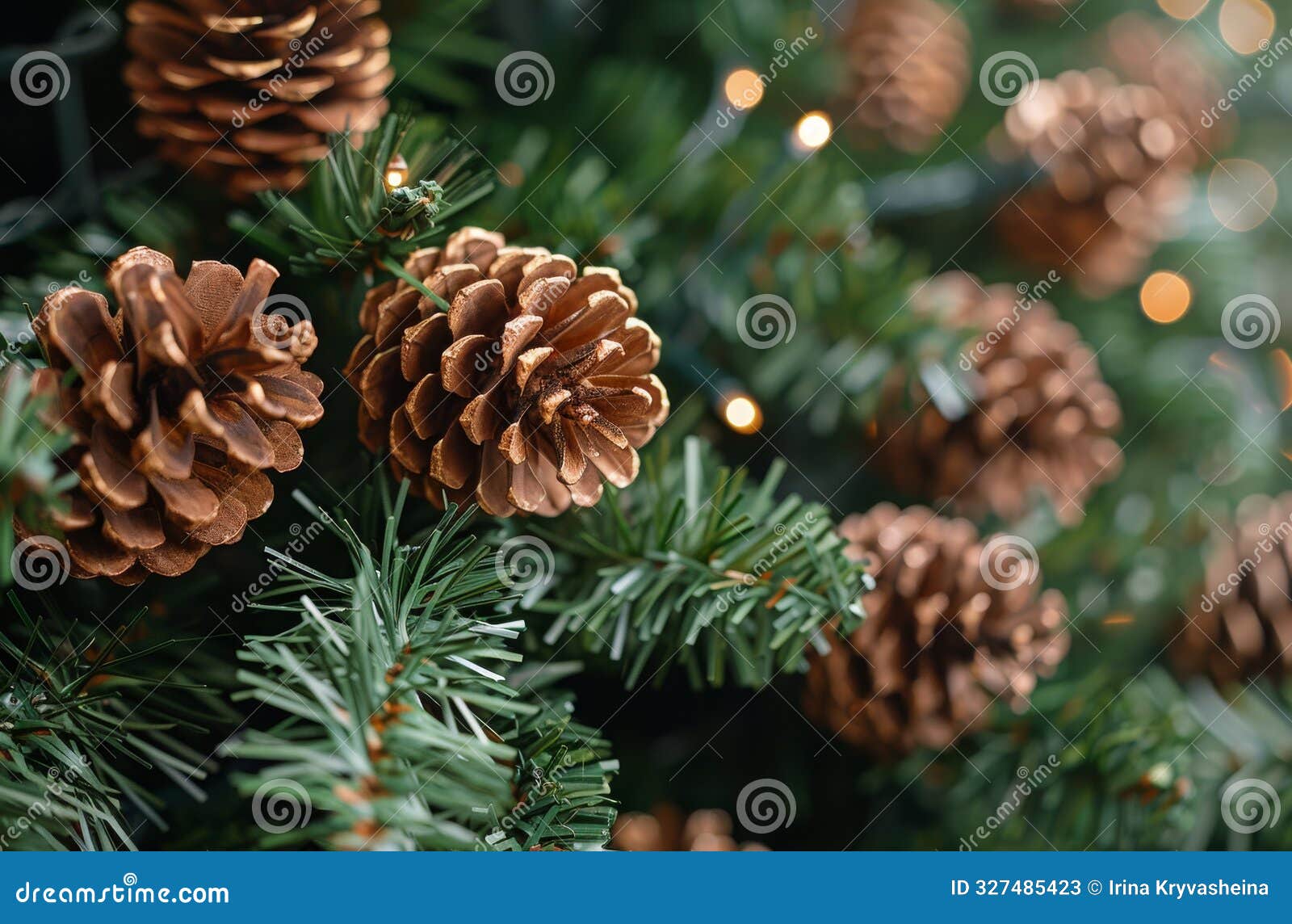 frosted pine cones on evergreen branch