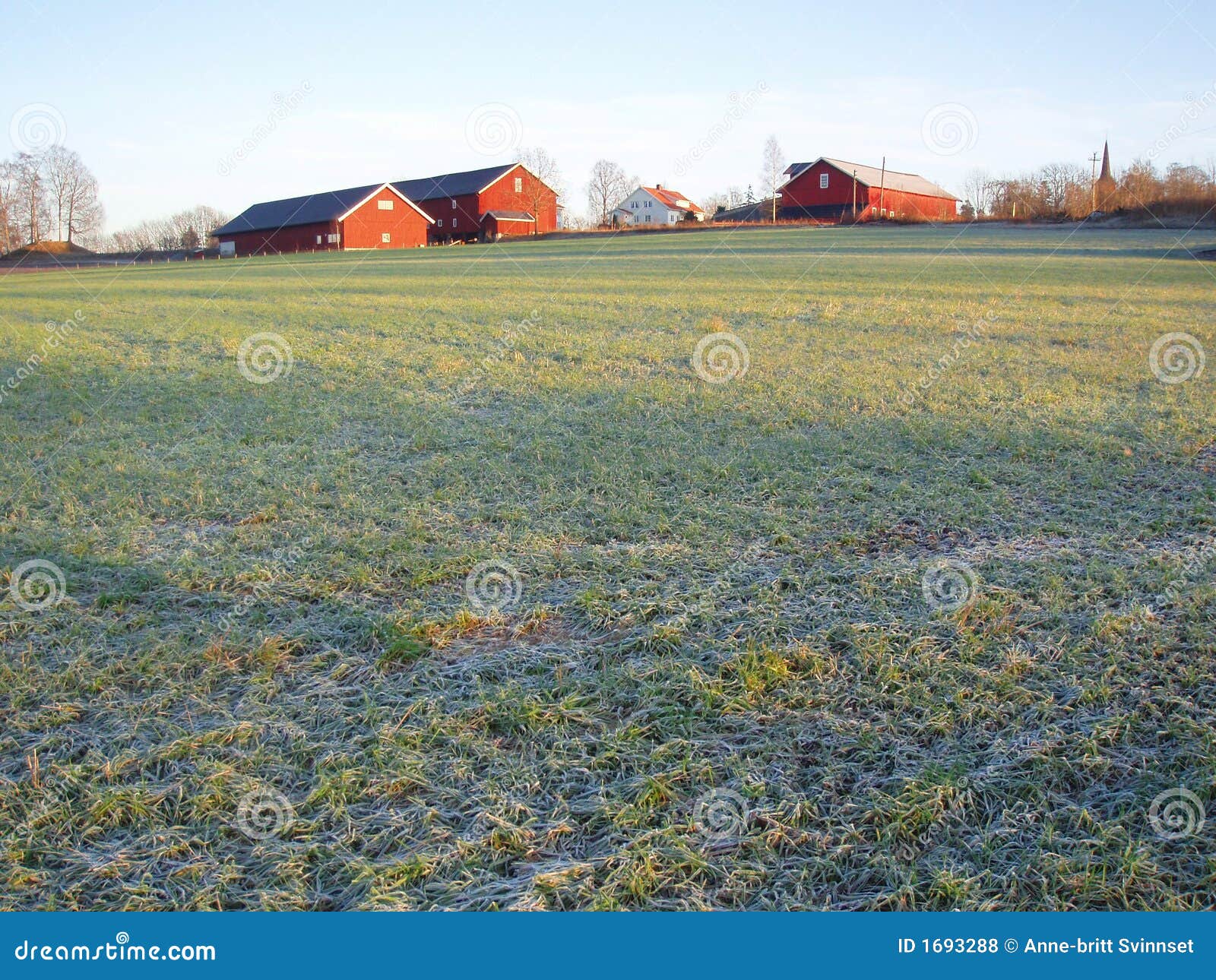 Frosty field and farm stock photo. Image of field, farmstead 1693288